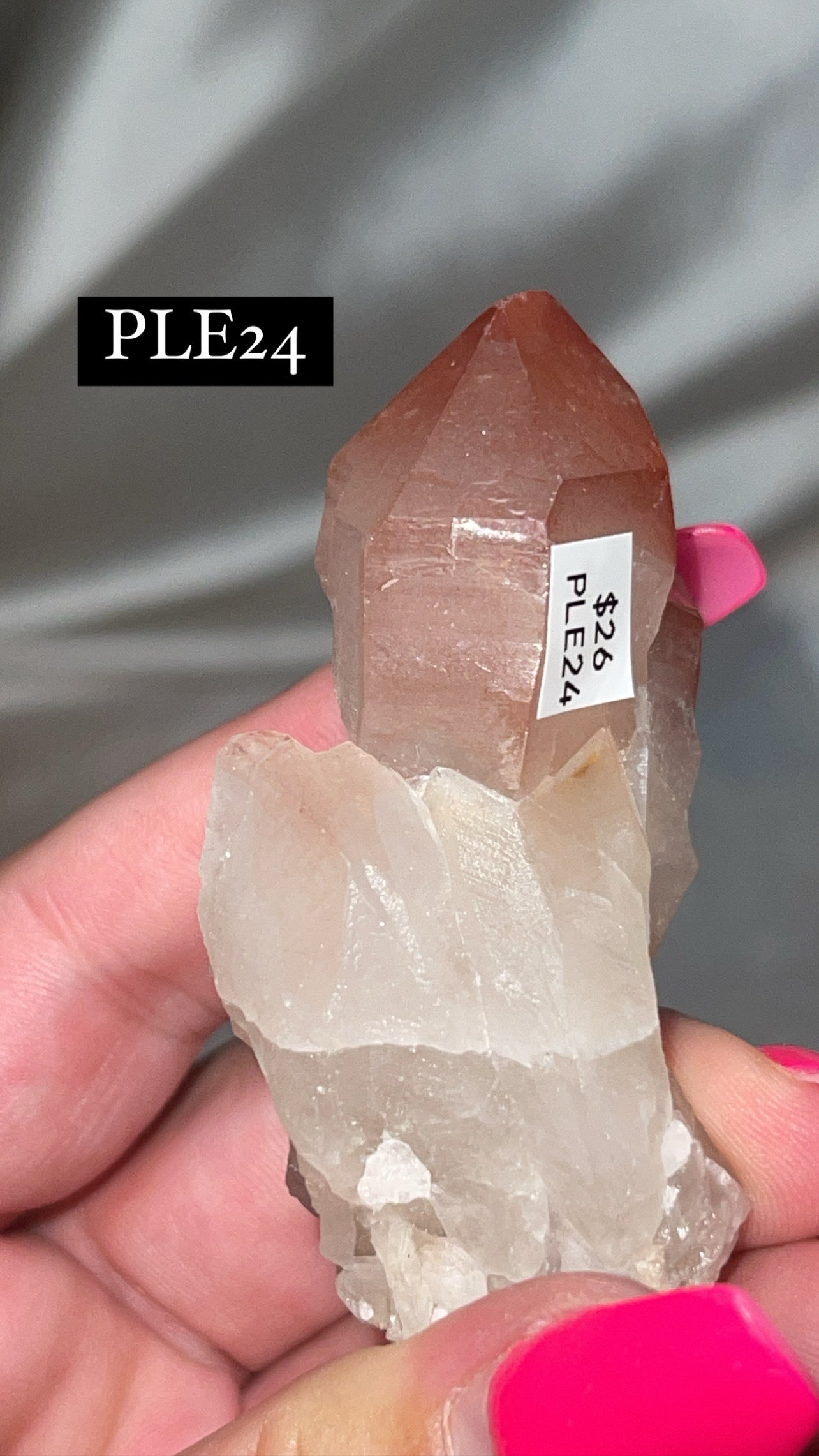 Scarlet Temple Lemurian (Choose Your Own)