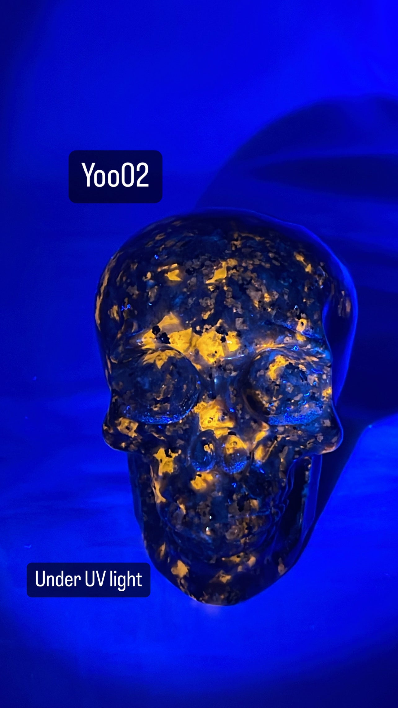 Yooperlite Medium Skull