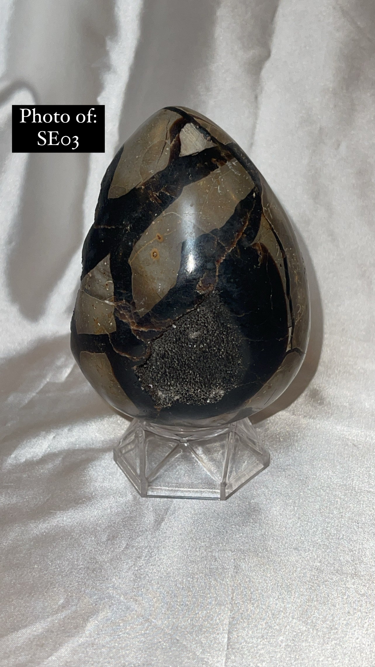 Septerian Large Dragon Egg