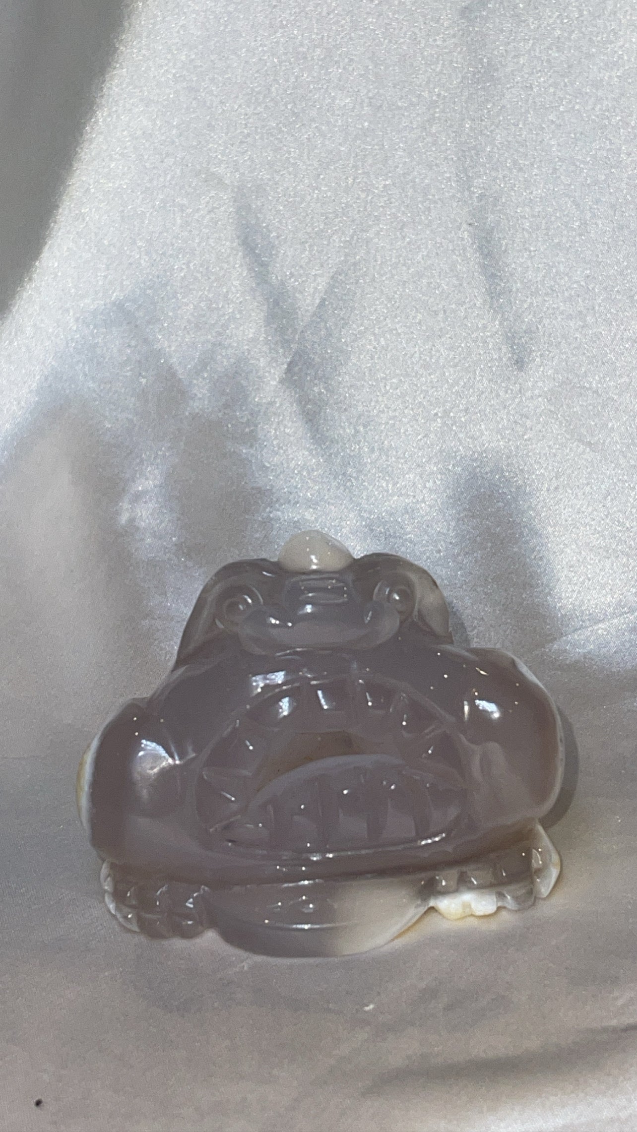 Druzy Agate Money Frog