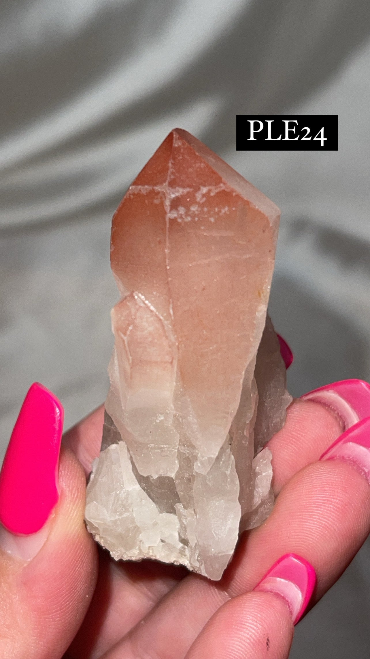 Scarlet Temple Lemurian (Choose Your Own)