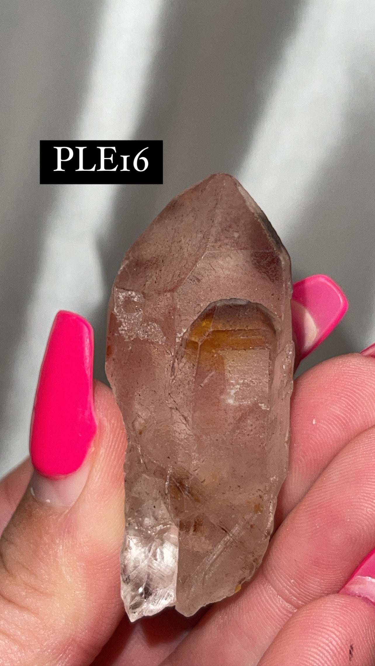 Scarlet Temple Lemurian (Choose Your Own)