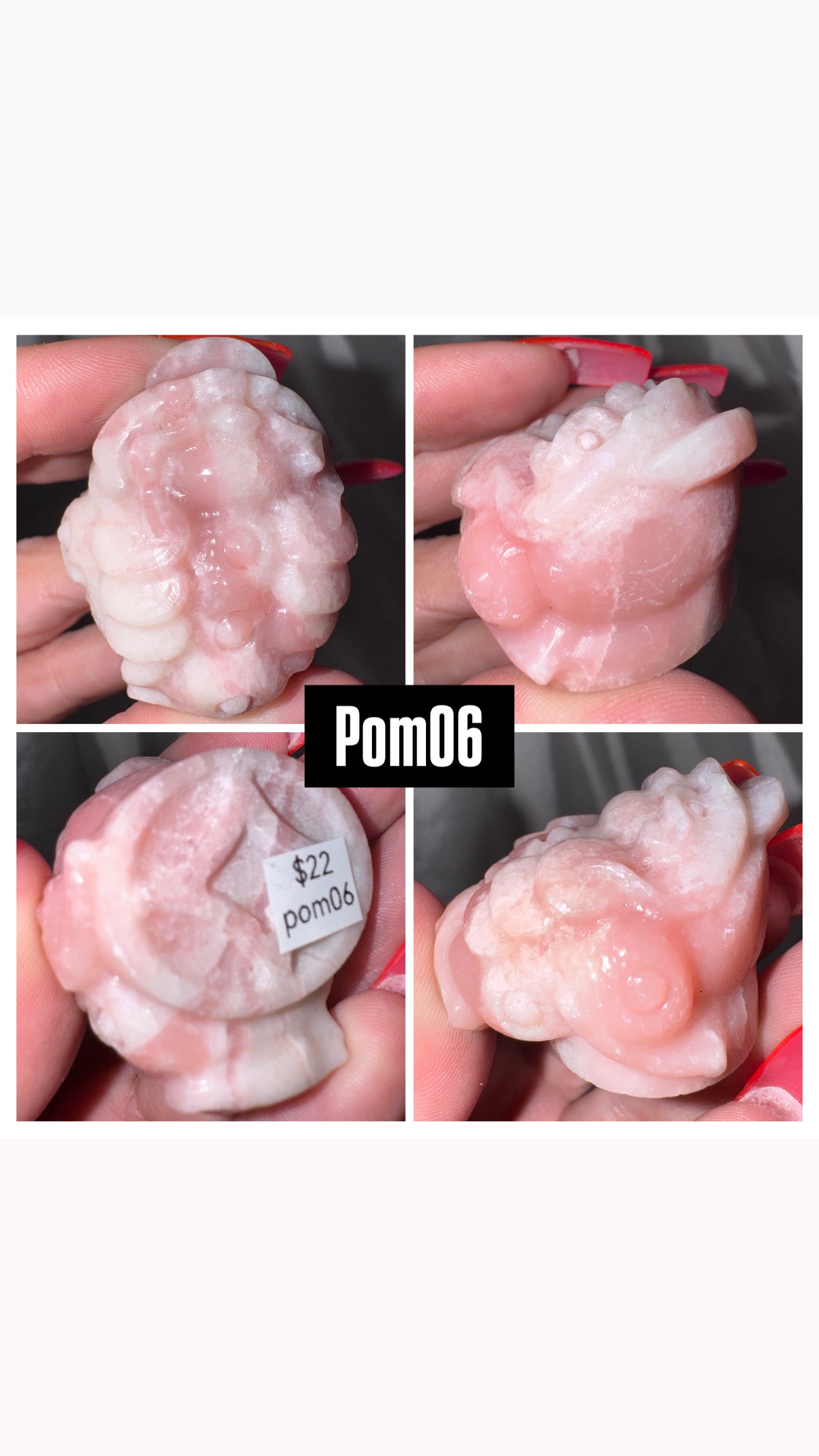 Pink Opal Money Frog