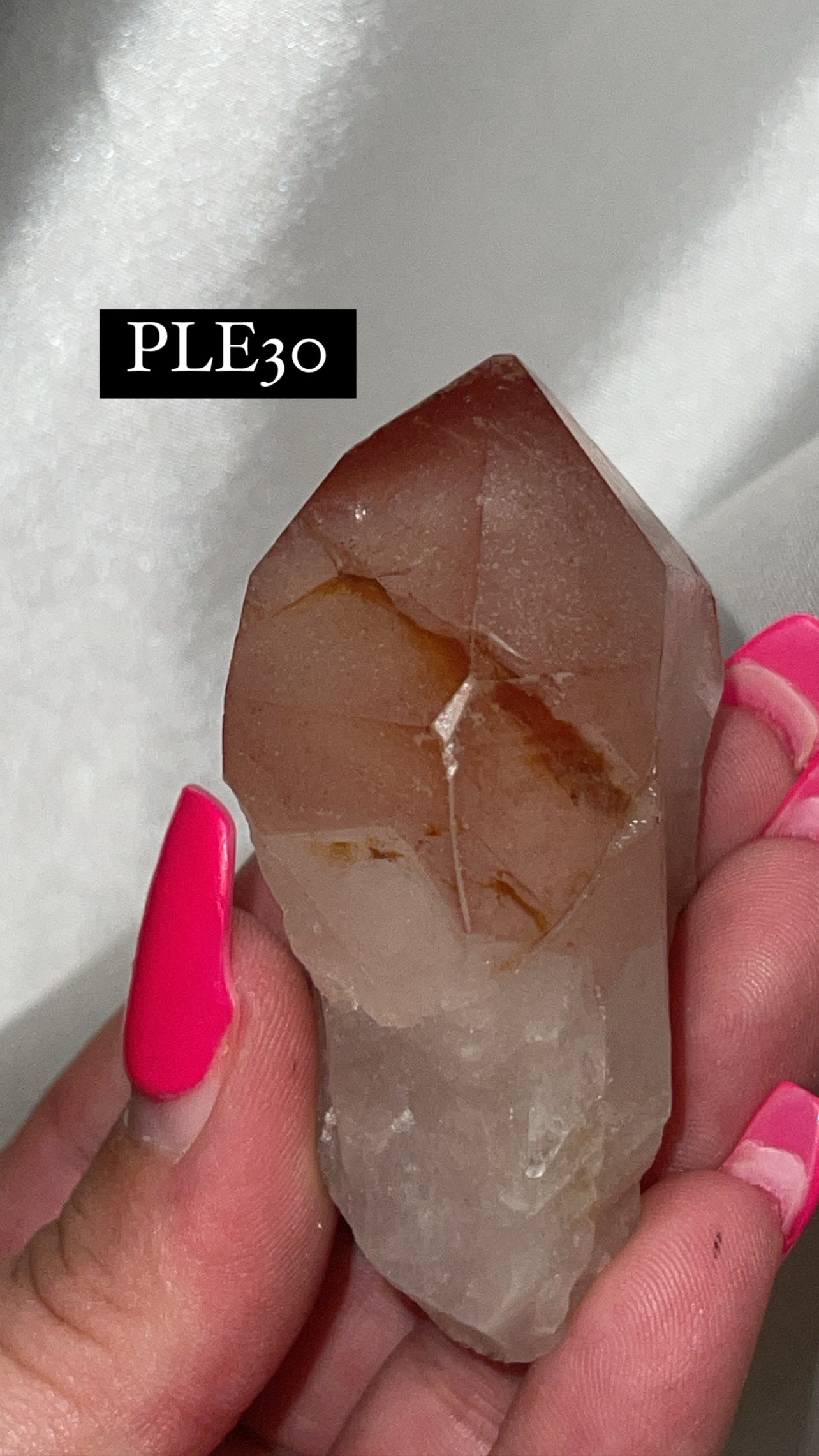 Scarlet Temple Lemurian (Choose Your Own)