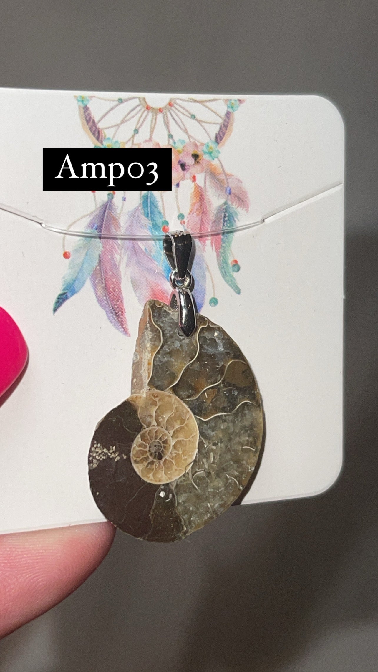Ammonite Pendant (Choose Your Own)