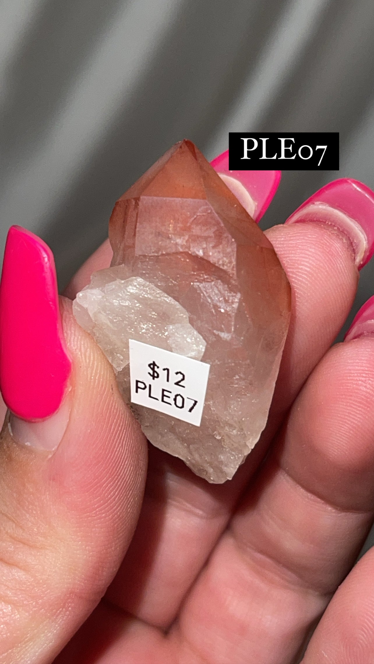 Scarlet Temple Lemurian (Choose Your Own)