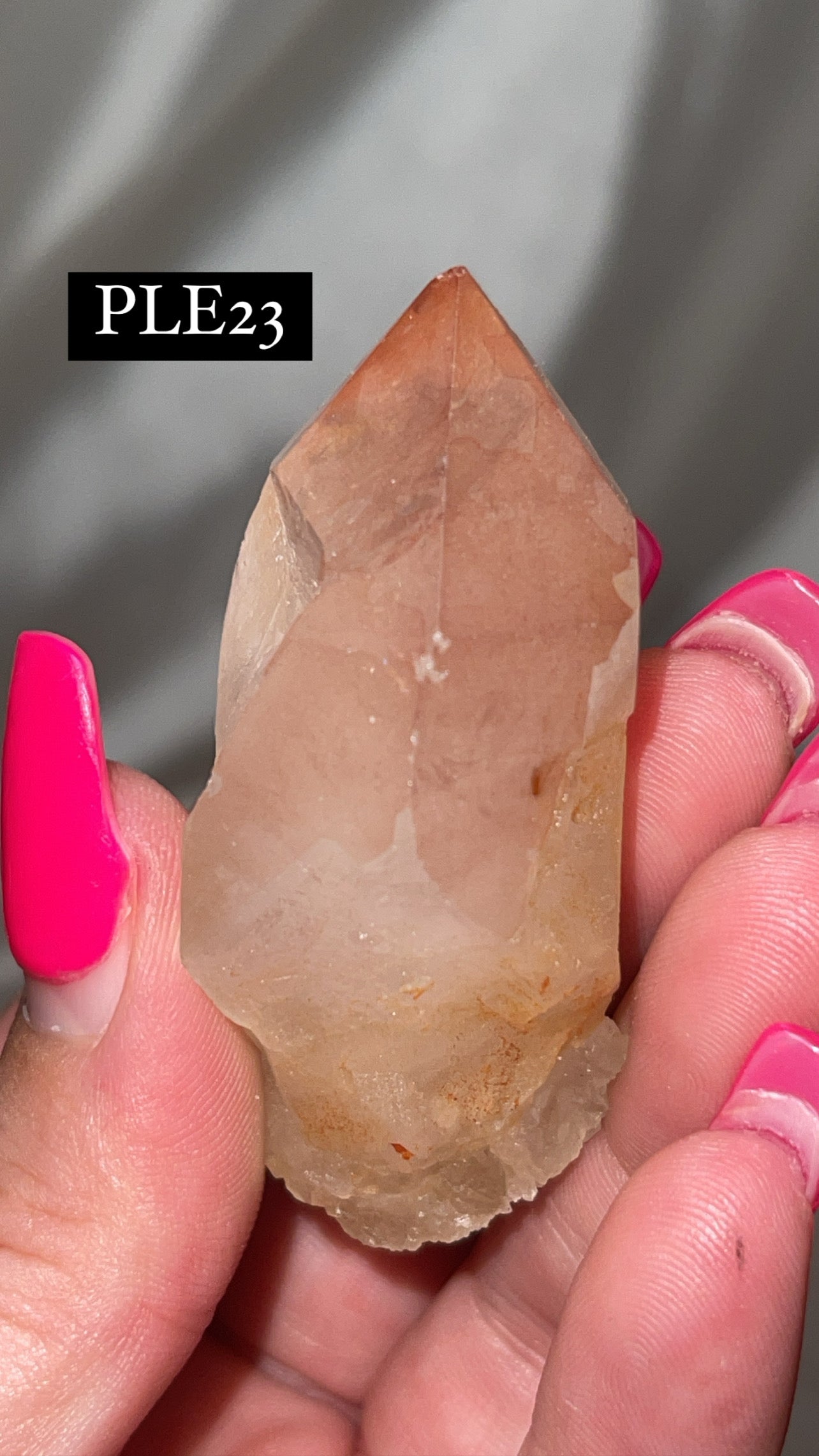 Scarlet Temple Lemurian (Choose Your Own)