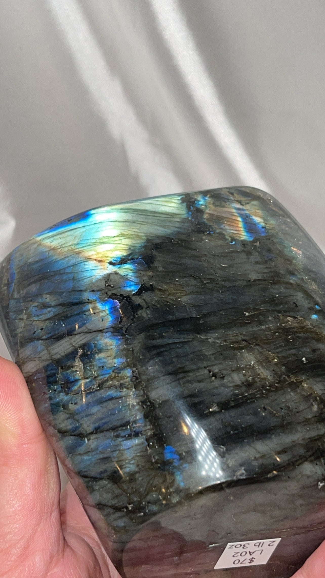Labradorite XL Freeform