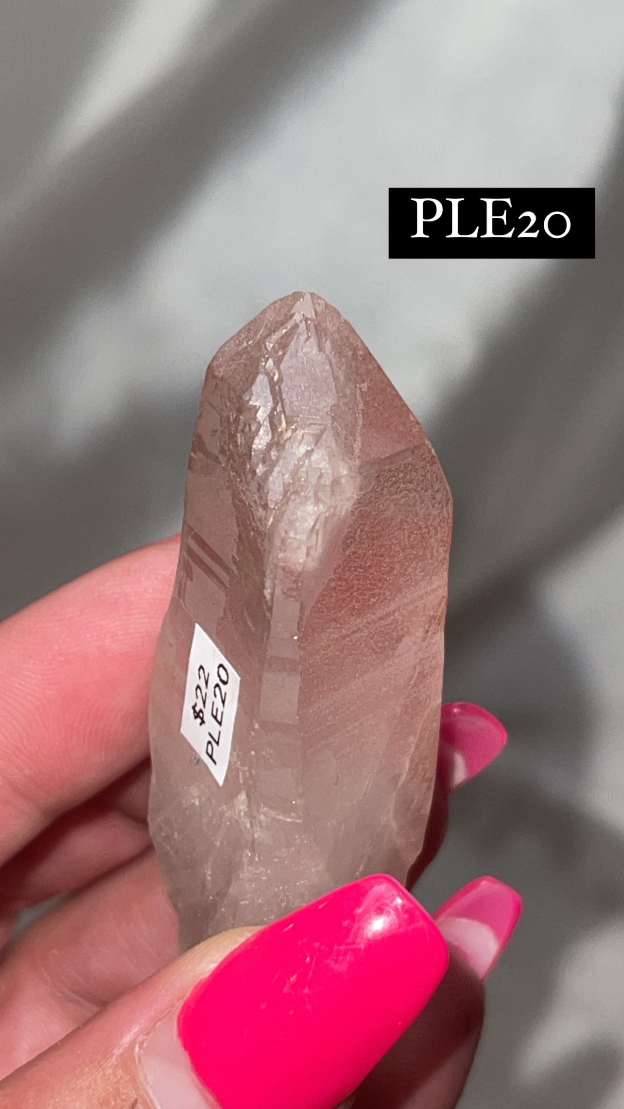 Scarlet Temple Lemurian (Choose Your Own)