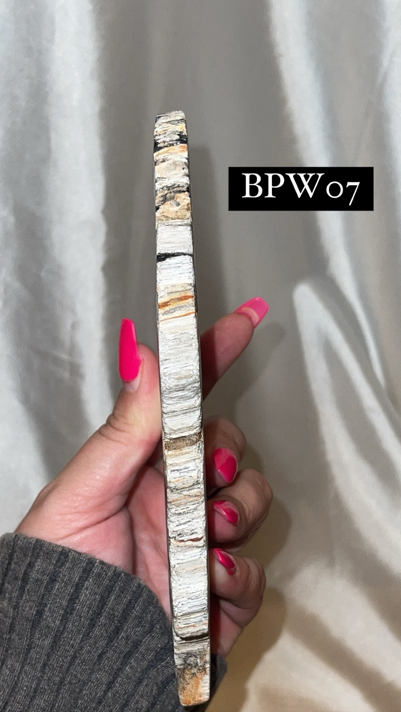 Black Petrified Wood Slab