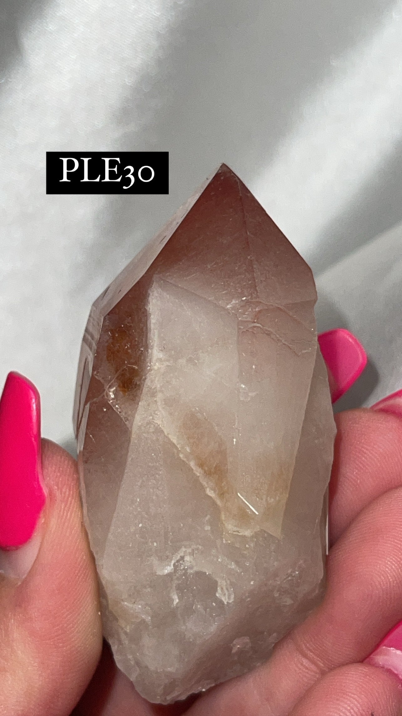 Scarlet Temple Lemurian (Choose Your Own)