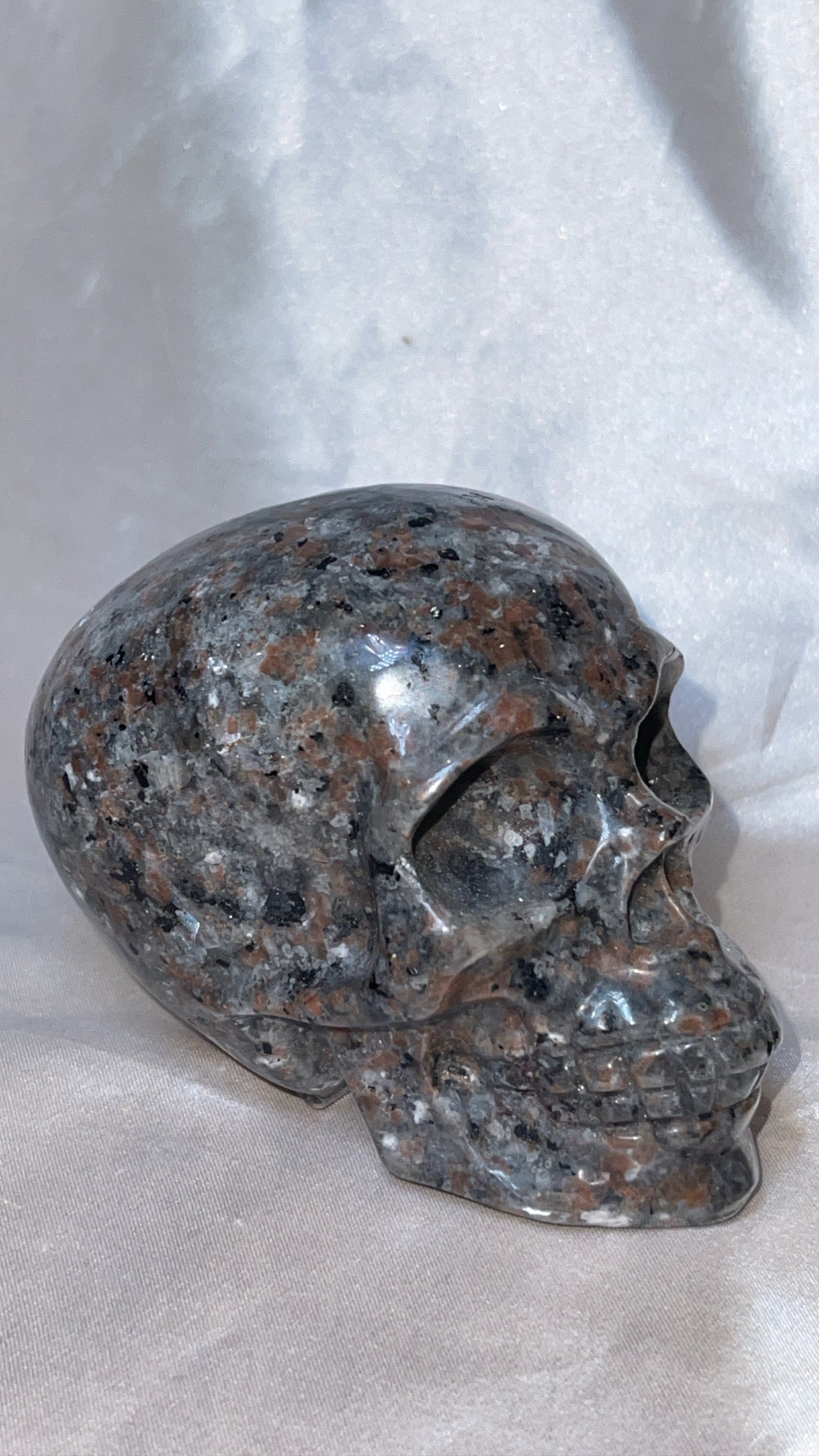 Yooperlite Medium Skull