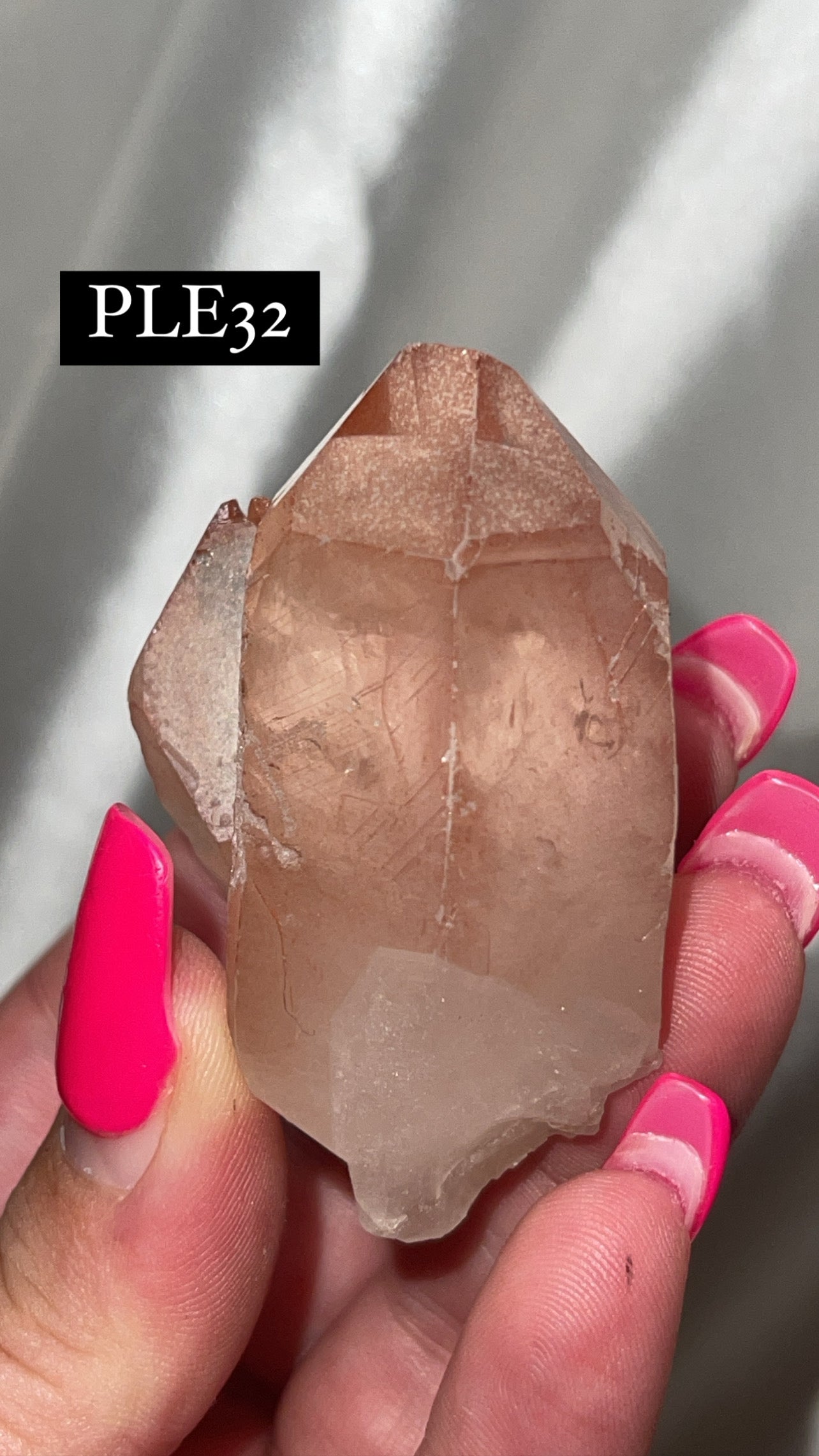 Scarlet Temple Lemurian (Choose Your Own)