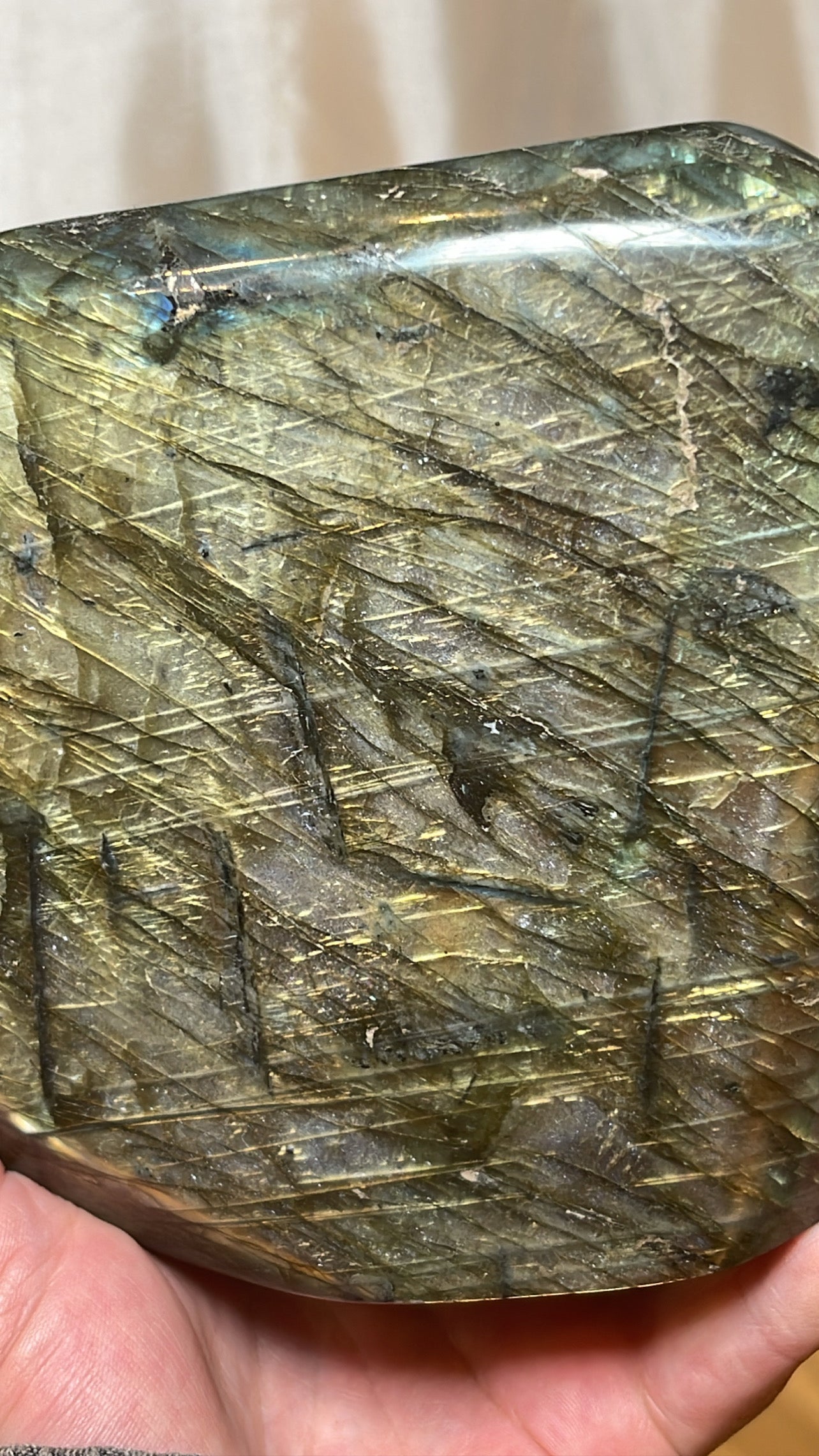 Labradorite XL Freeform