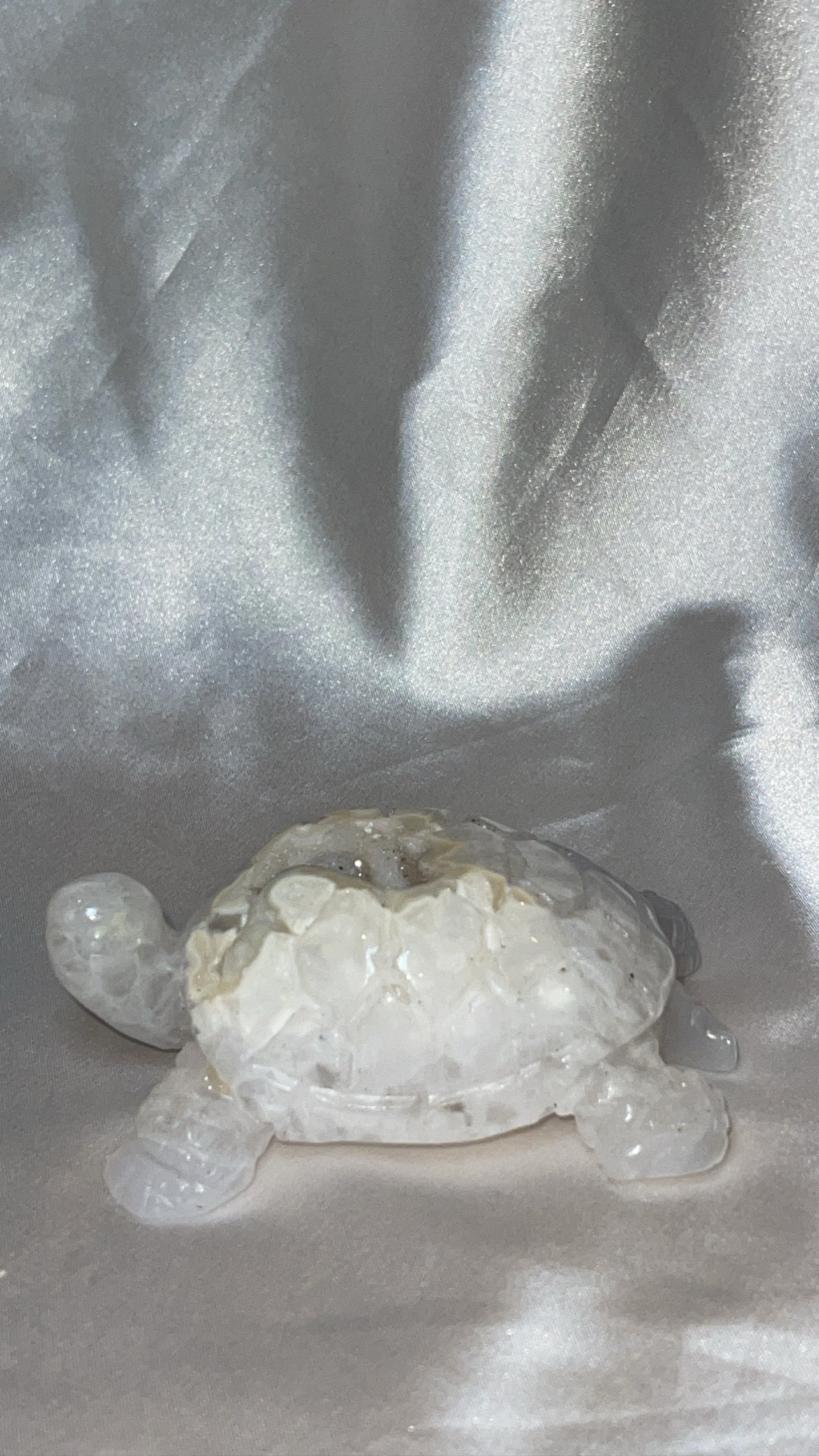 Druzy Agate AAA Large Turtle