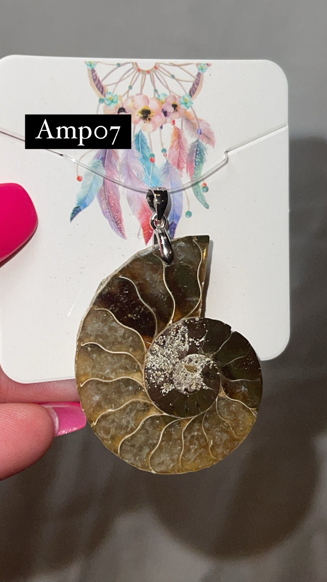Ammonite Pendant (Choose Your Own)