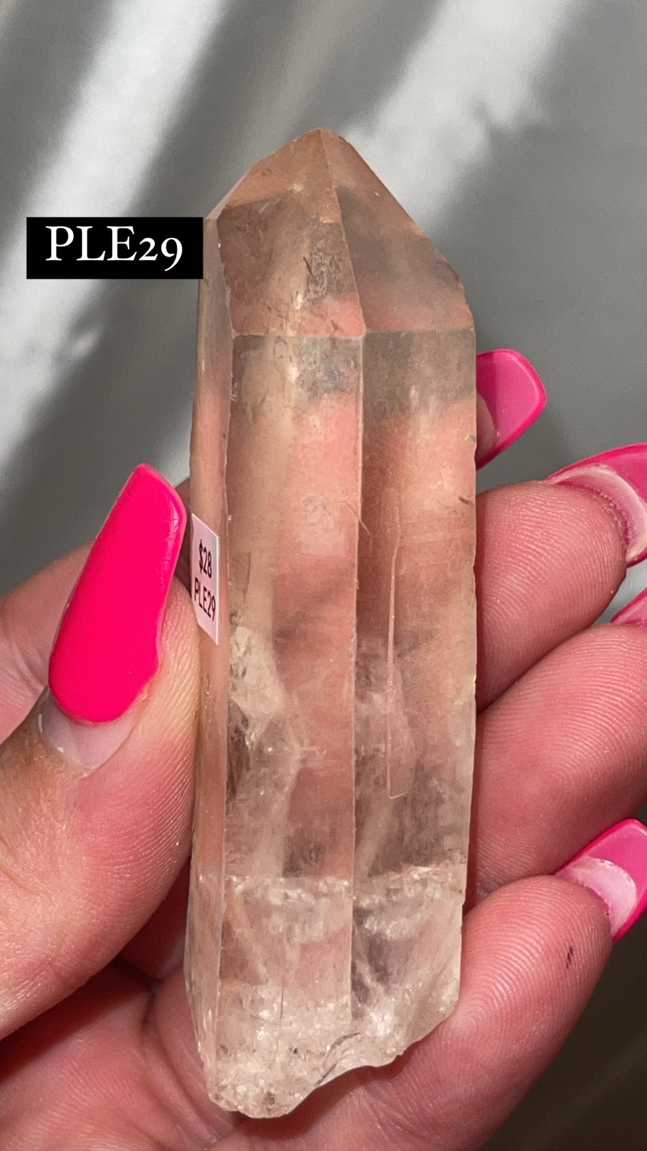 Scarlet Temple Lemurian (Choose Your Own)