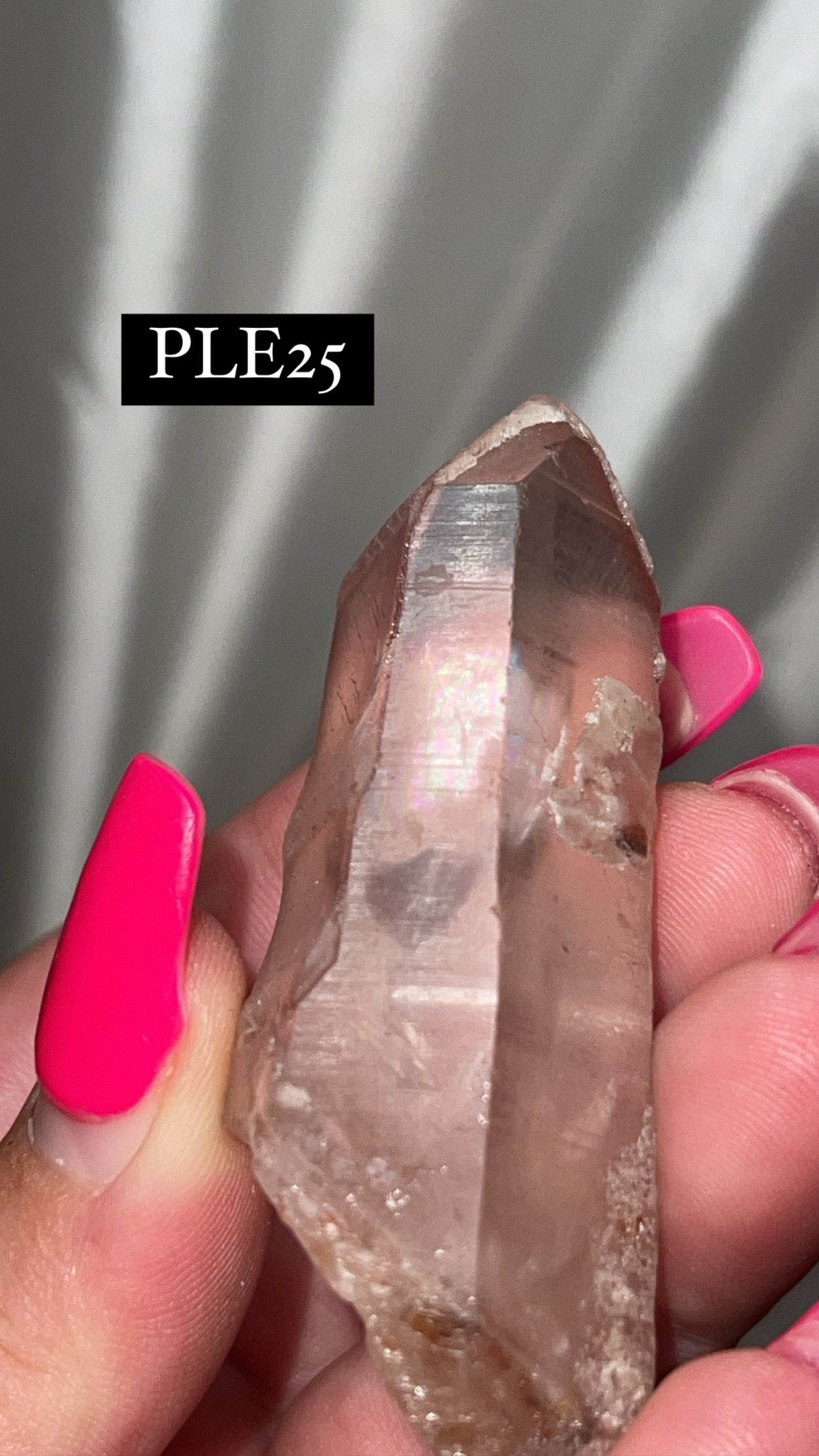 Scarlet Temple Lemurian (Choose Your Own)