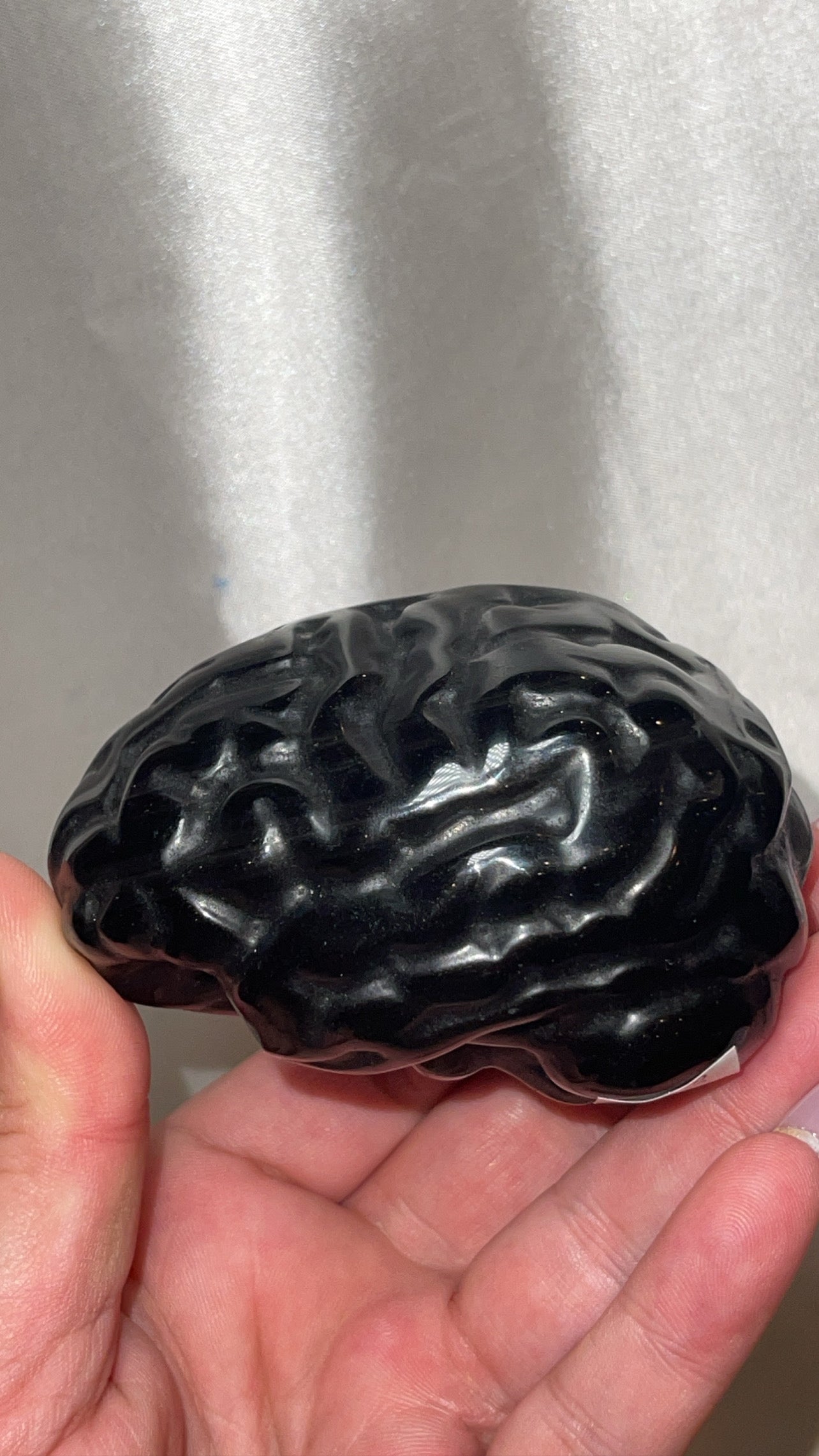 Silver Sheen Obsidian Large Anatomical Brain