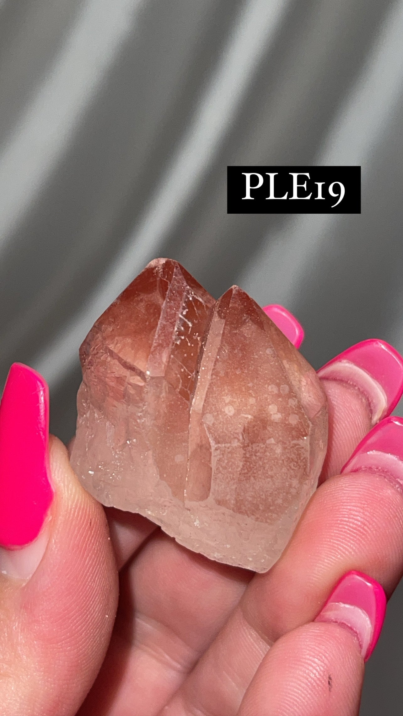 Scarlet Temple Lemurian (Choose Your Own)