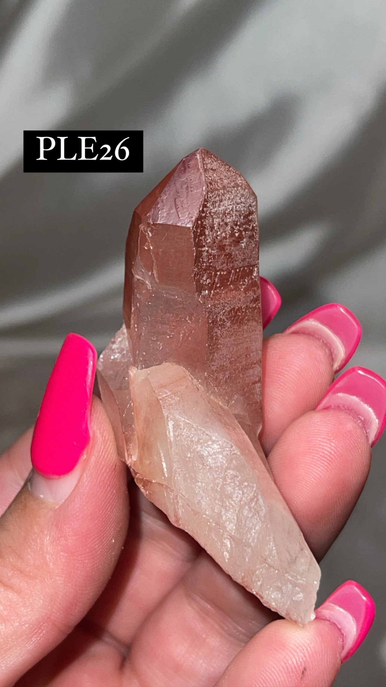 Scarlet Temple Lemurian (Choose Your Own)