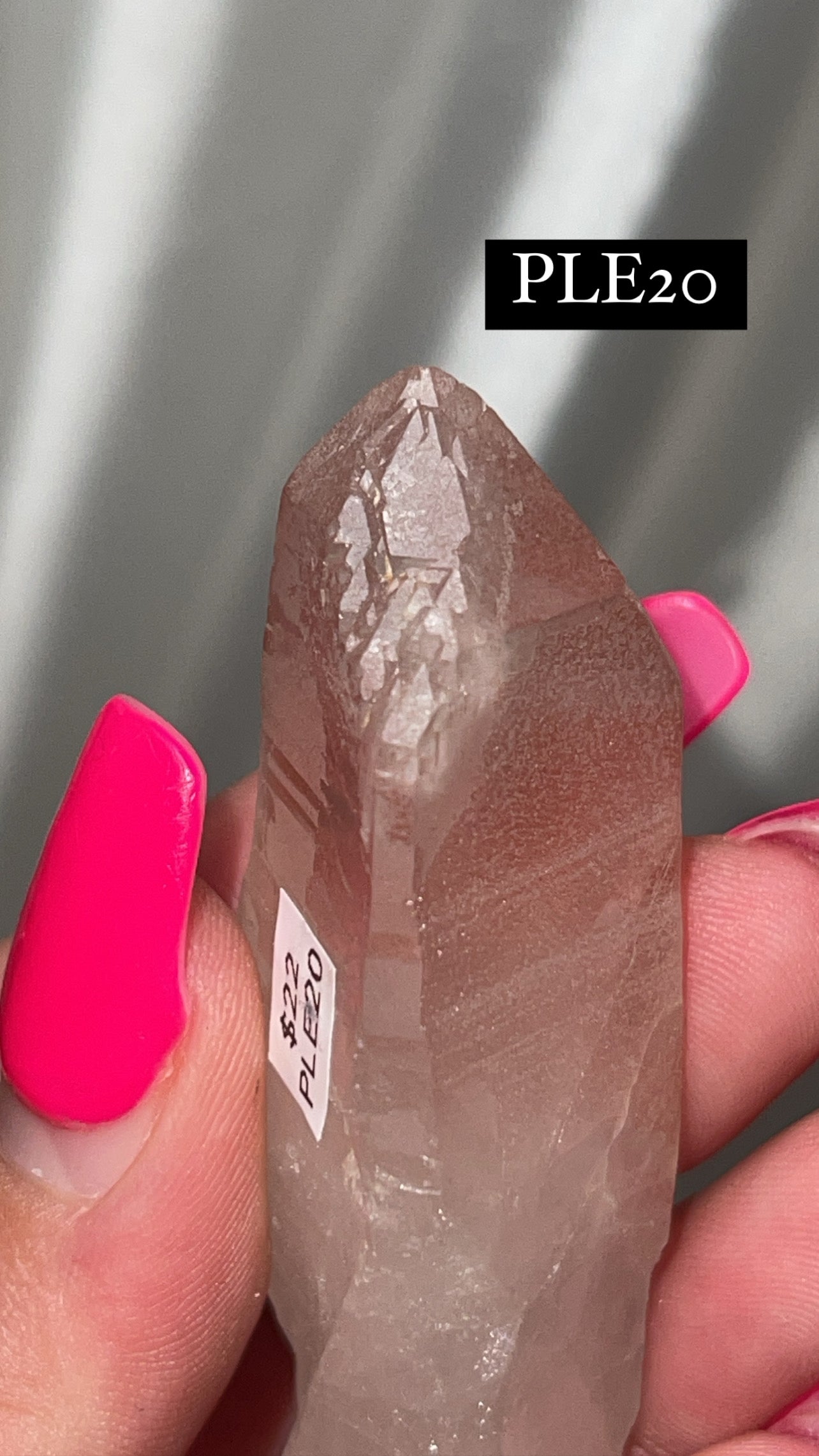 Scarlet Temple Lemurian (Choose Your Own)