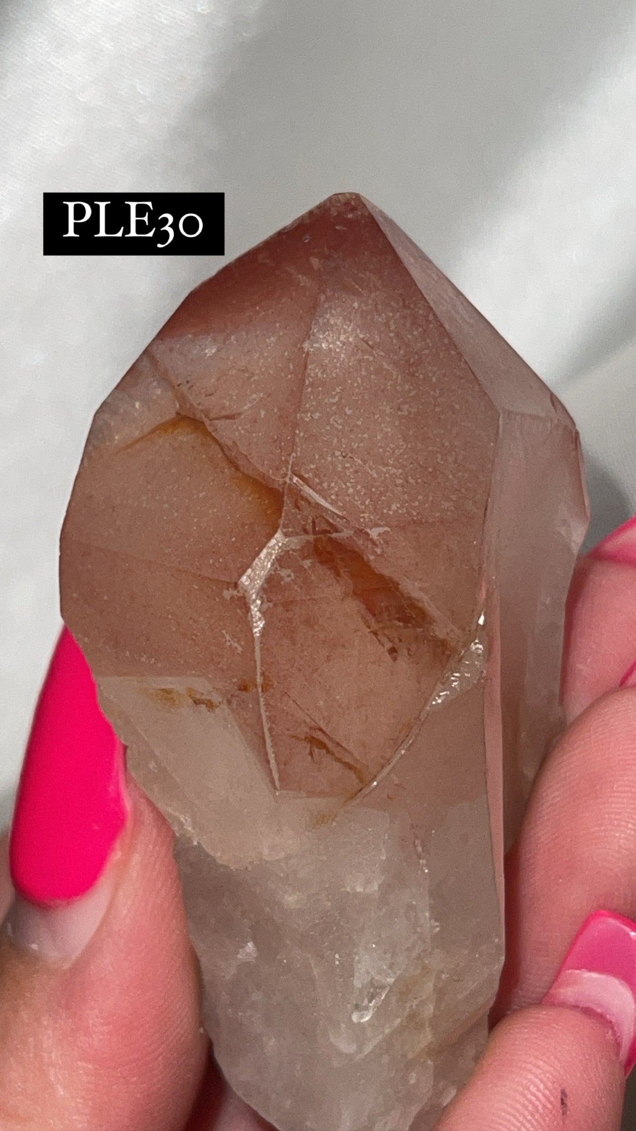 Scarlet Temple Lemurian (Choose Your Own)