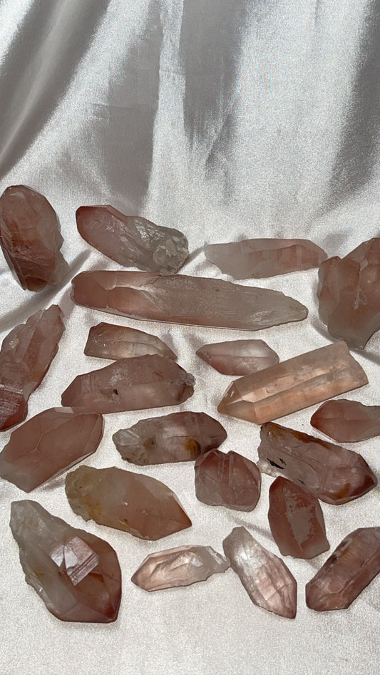 Scarlet Temple Lemurian (Choose Your Own)