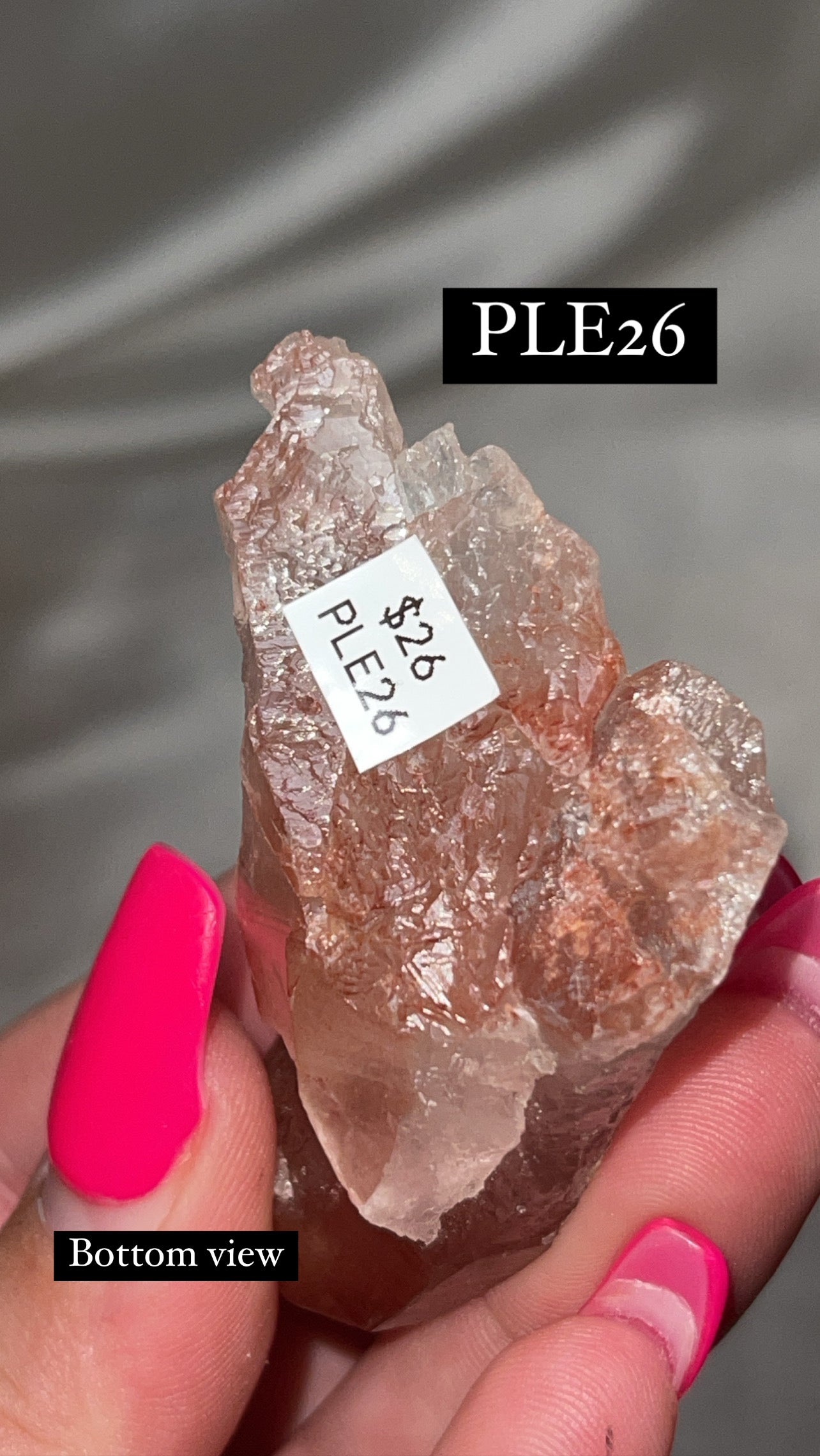 Scarlet Temple Lemurian (Choose Your Own)