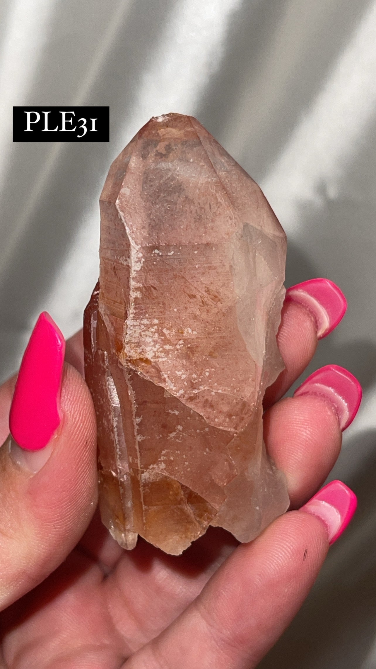 Scarlet Temple Lemurian (Choose Your Own)