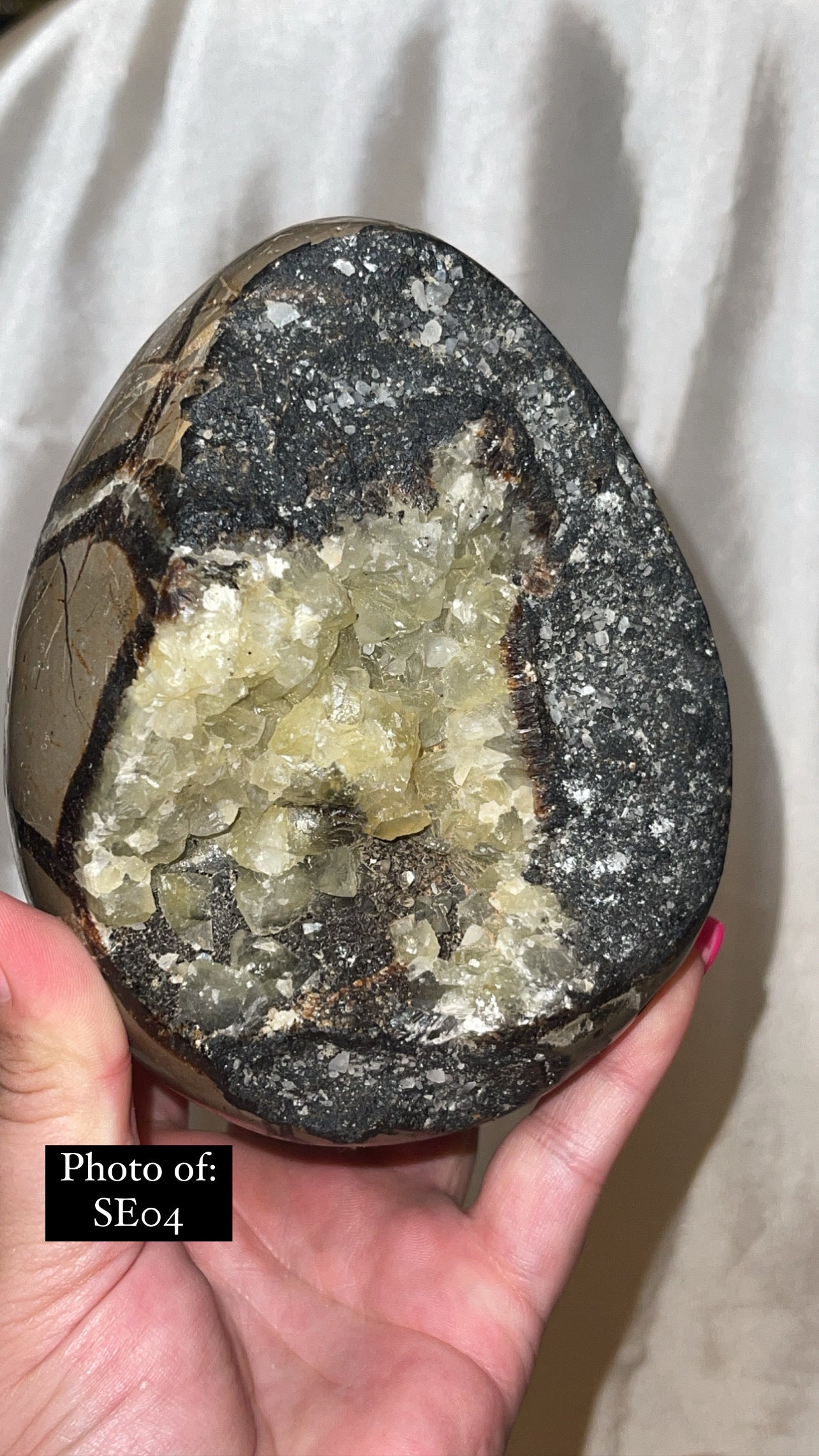 Septerian Large Dragon Egg