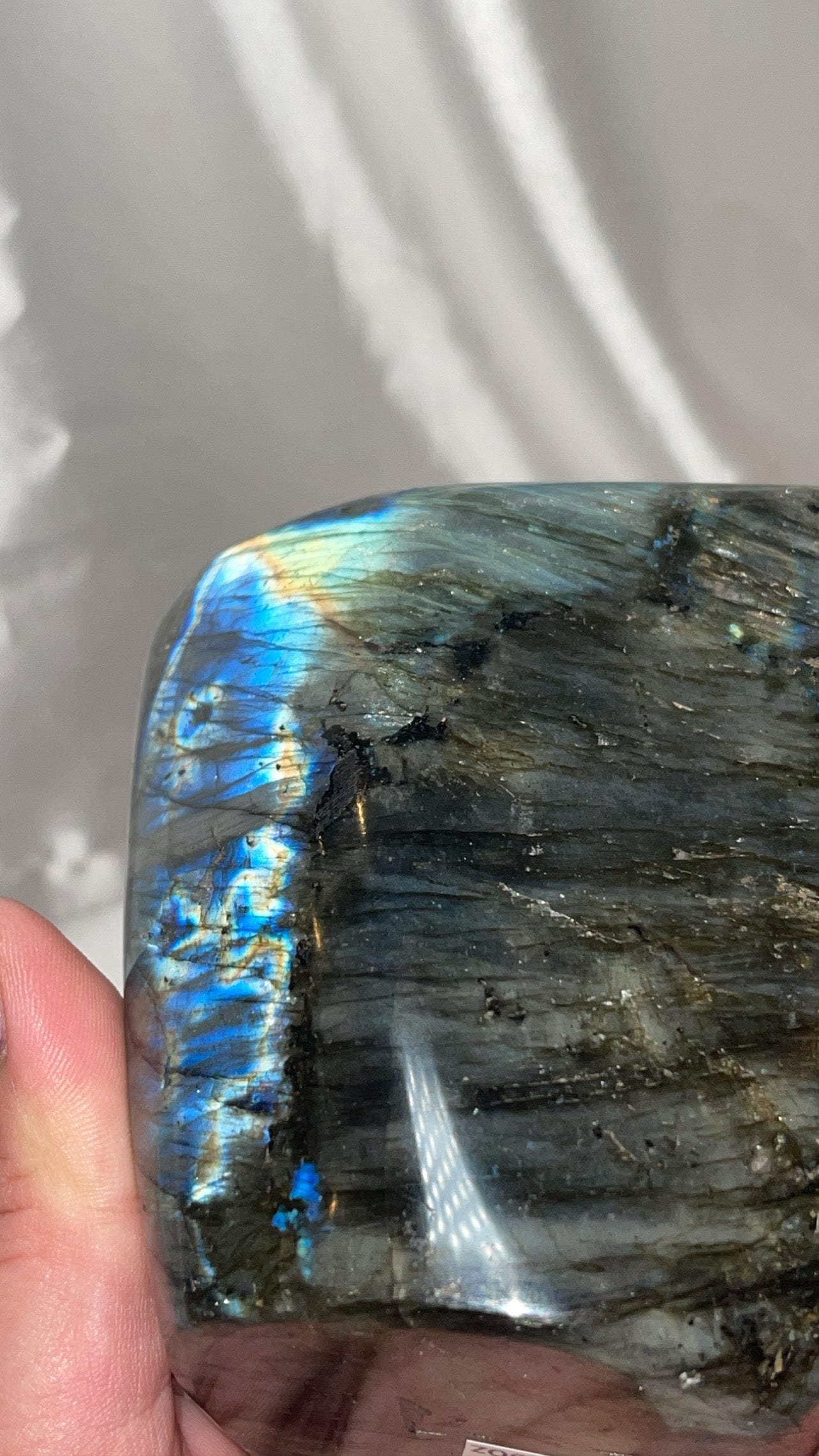 Labradorite XL Freeform