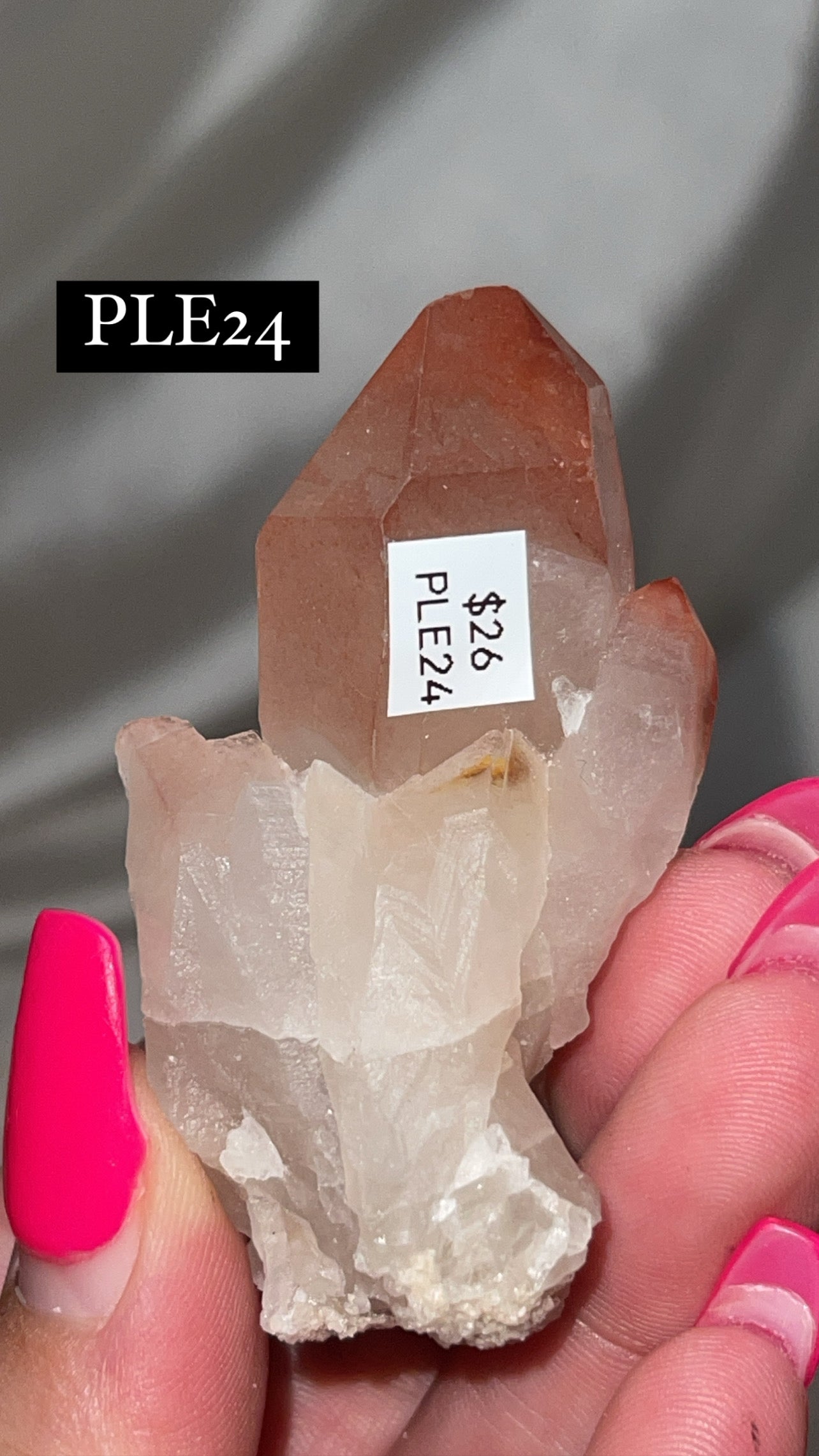 Scarlet Temple Lemurian (Choose Your Own)