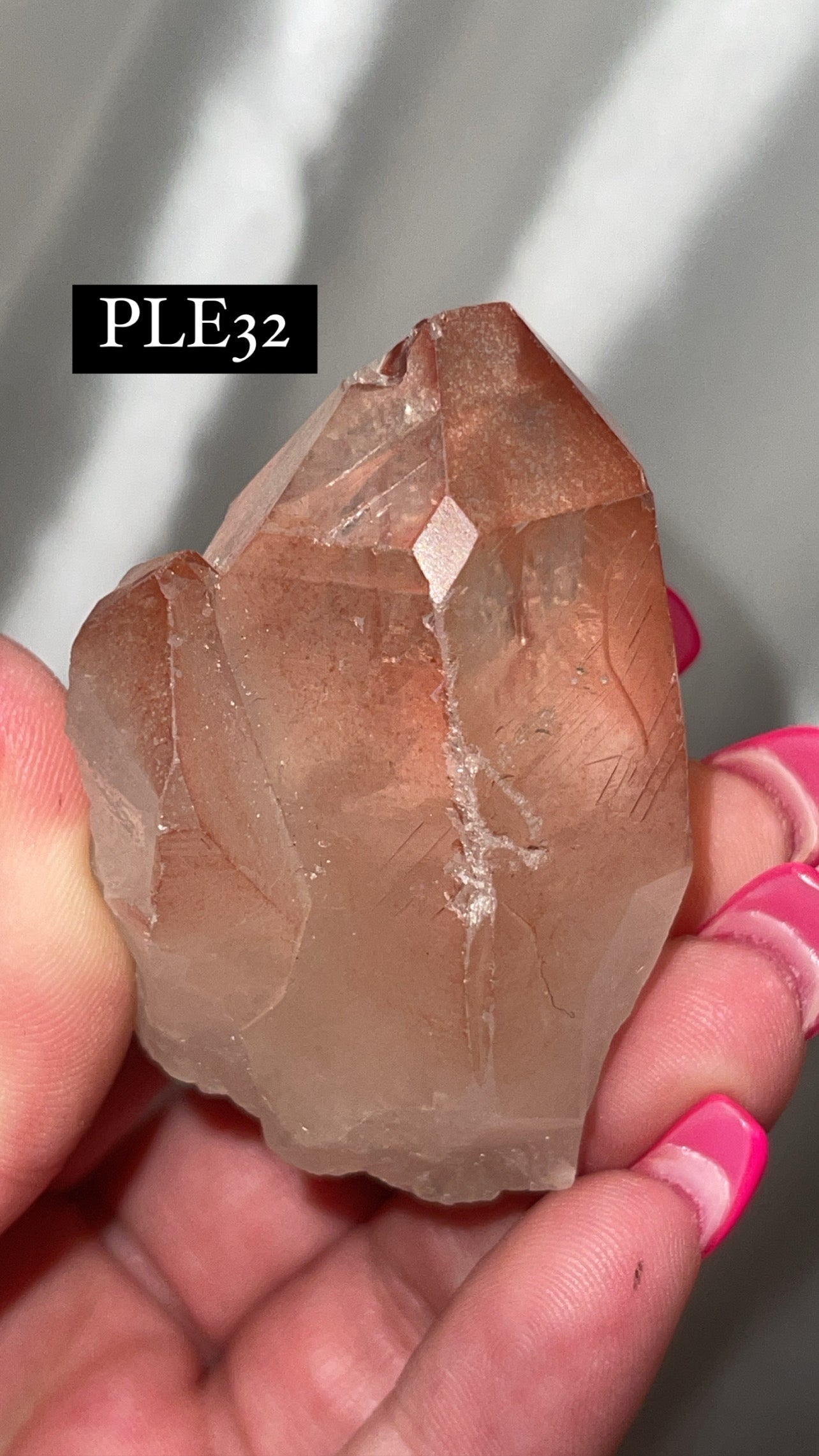 Scarlet Temple Lemurian (Choose Your Own)