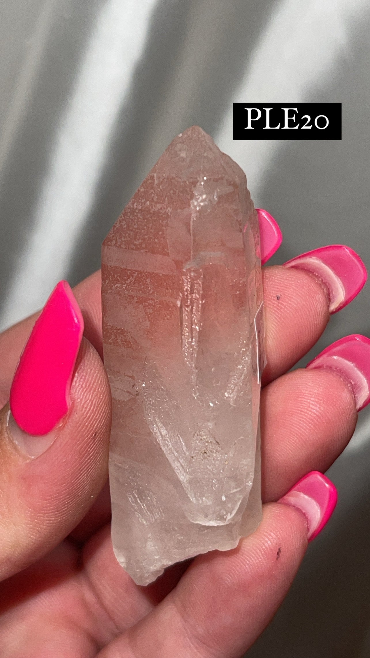 Scarlet Temple Lemurian (Choose Your Own)
