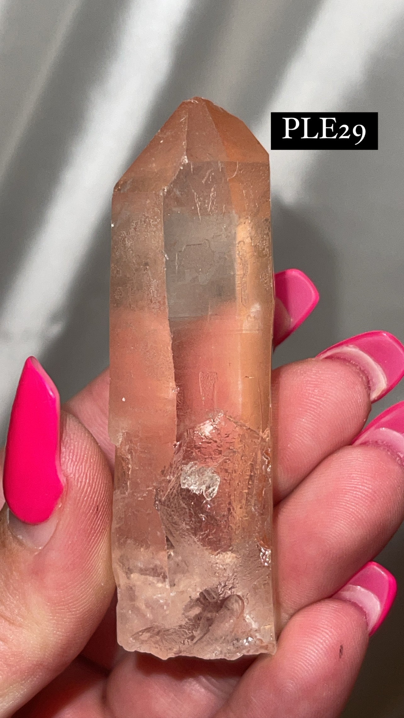 Scarlet Temple Lemurian (Choose Your Own)