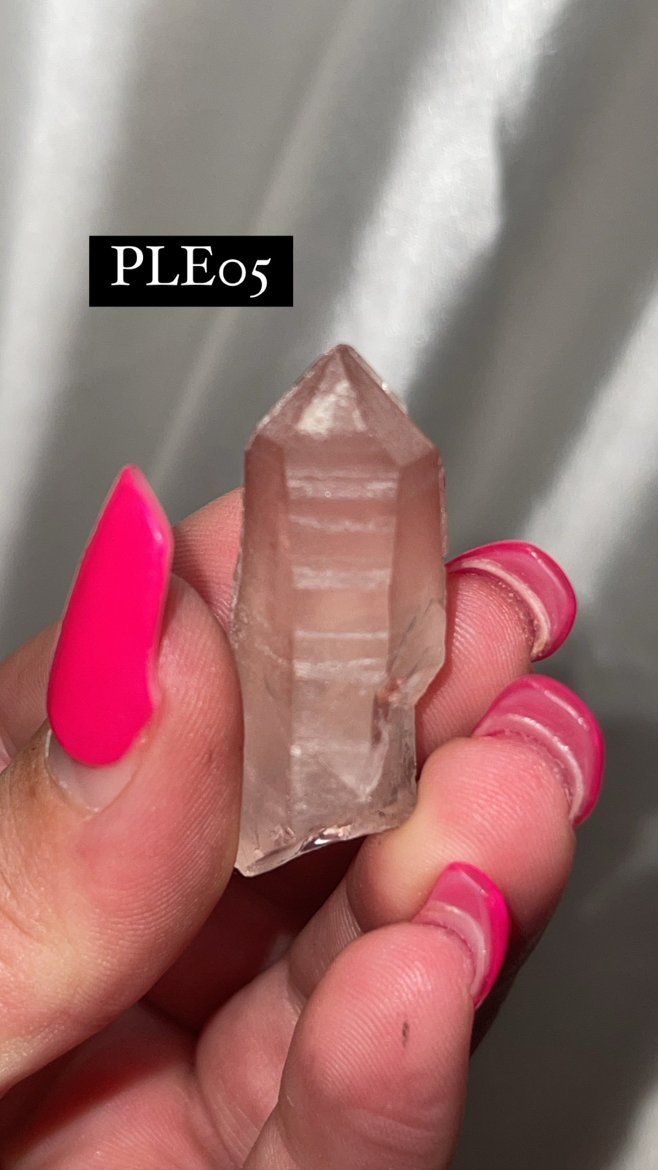 Scarlet Temple Lemurian (Choose Your Own)
