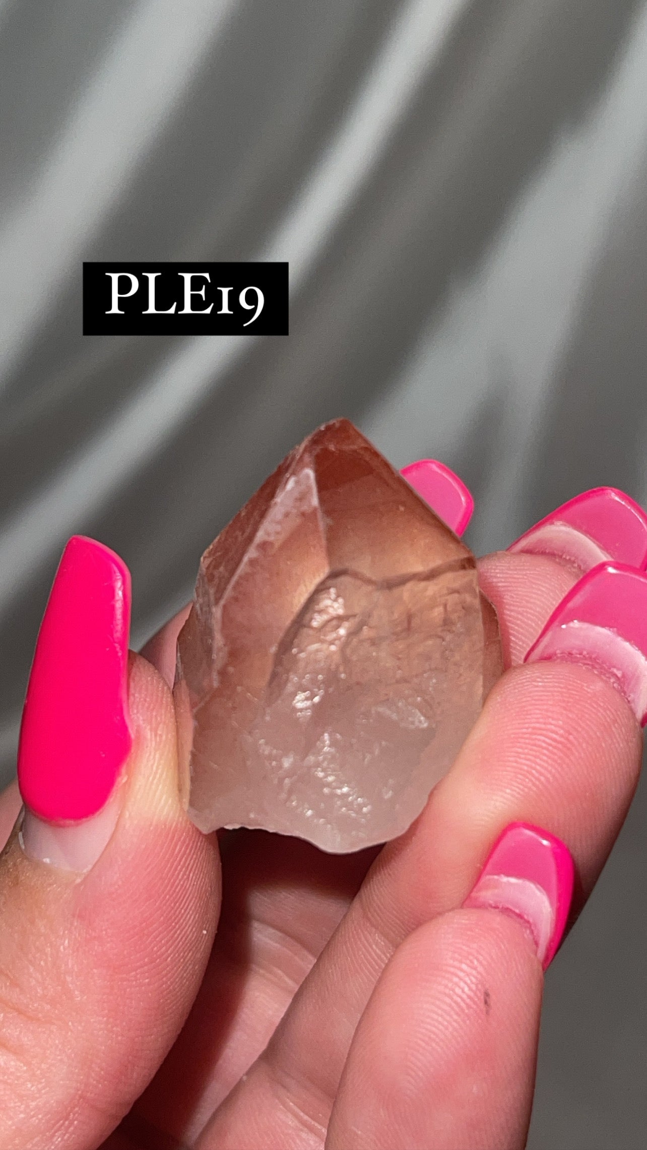 Scarlet Temple Lemurian (Choose Your Own)