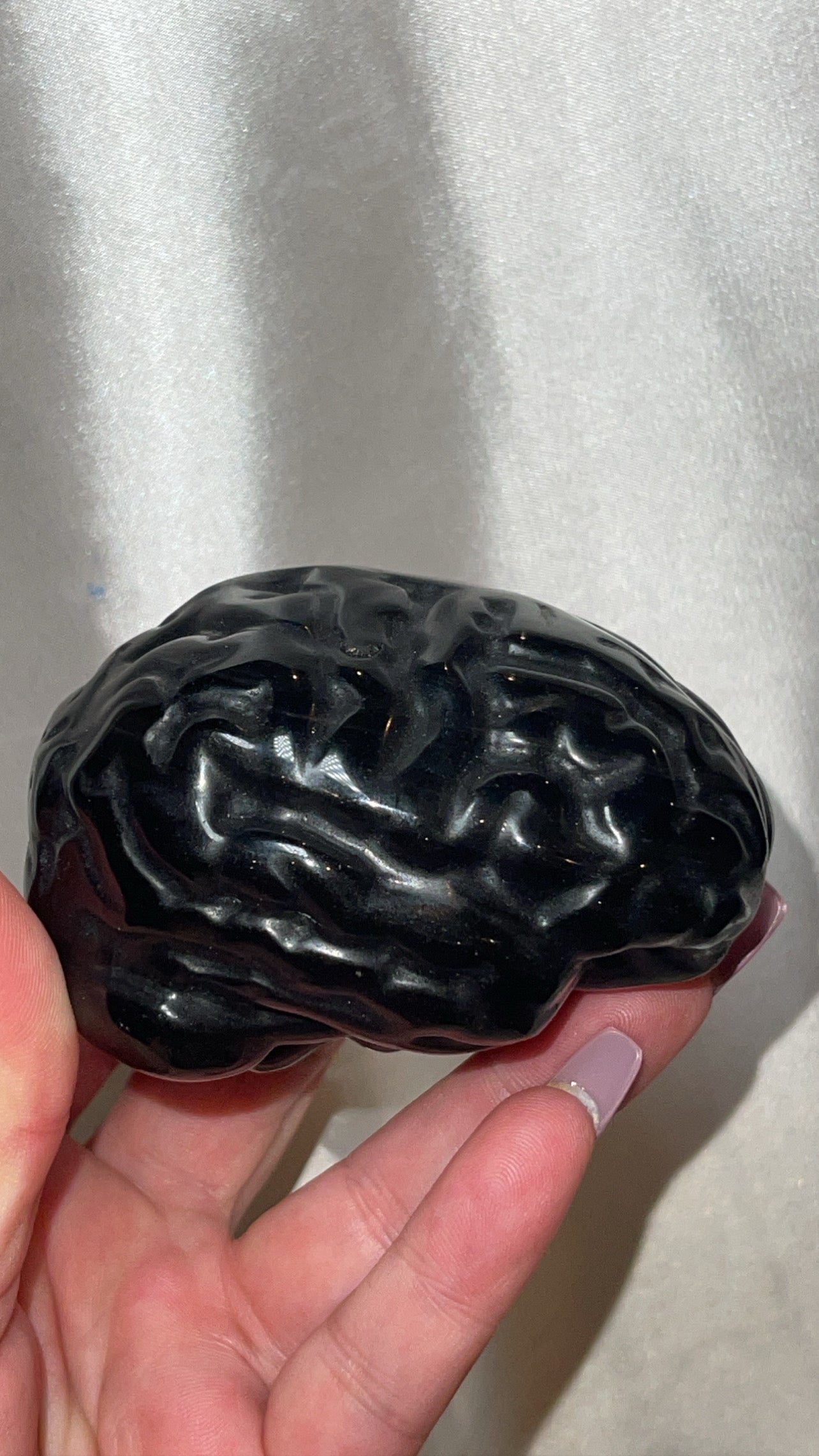 Silver Sheen Obsidian Large Anatomical Brain
