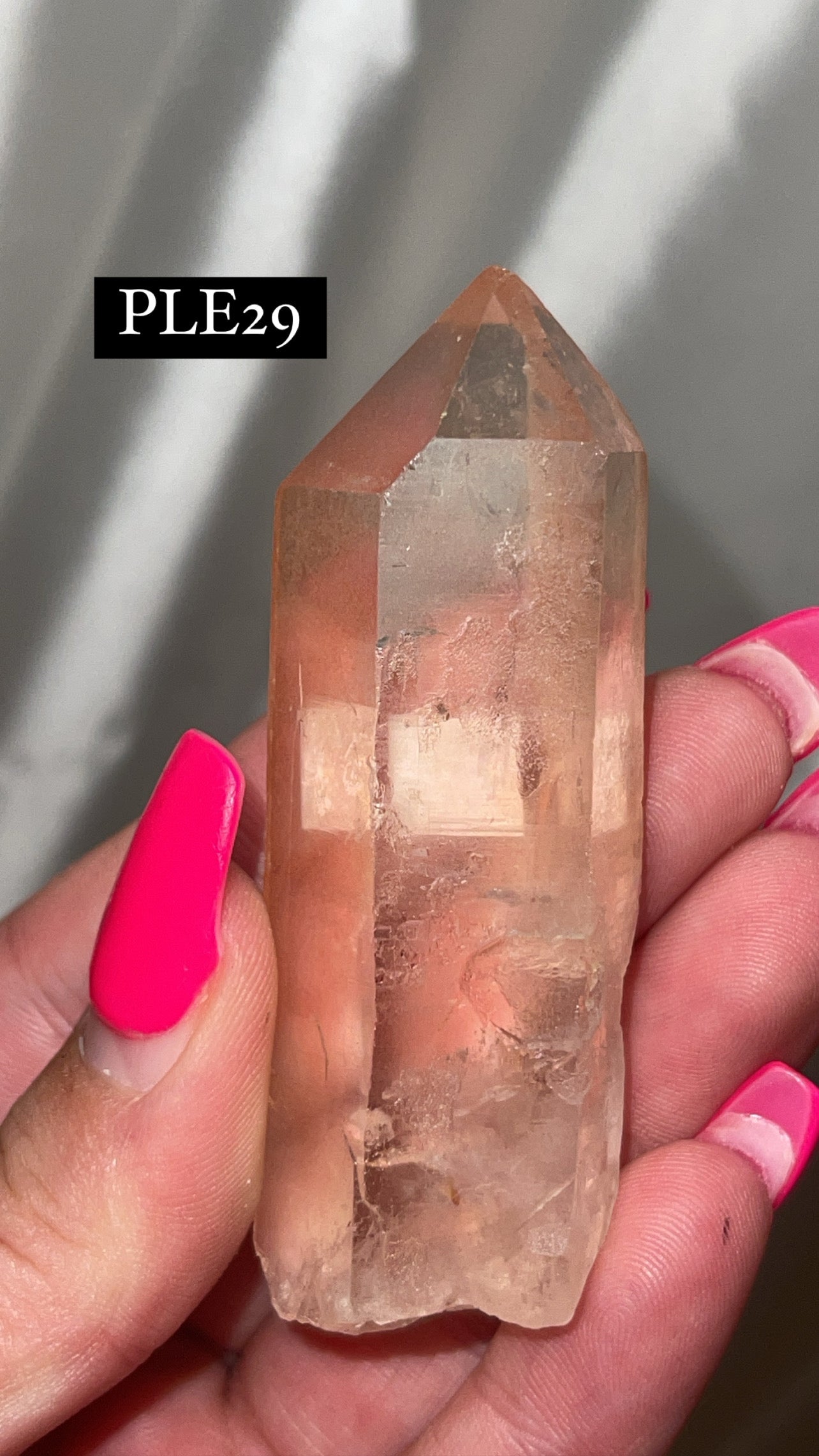 Scarlet Temple Lemurian (Choose Your Own)