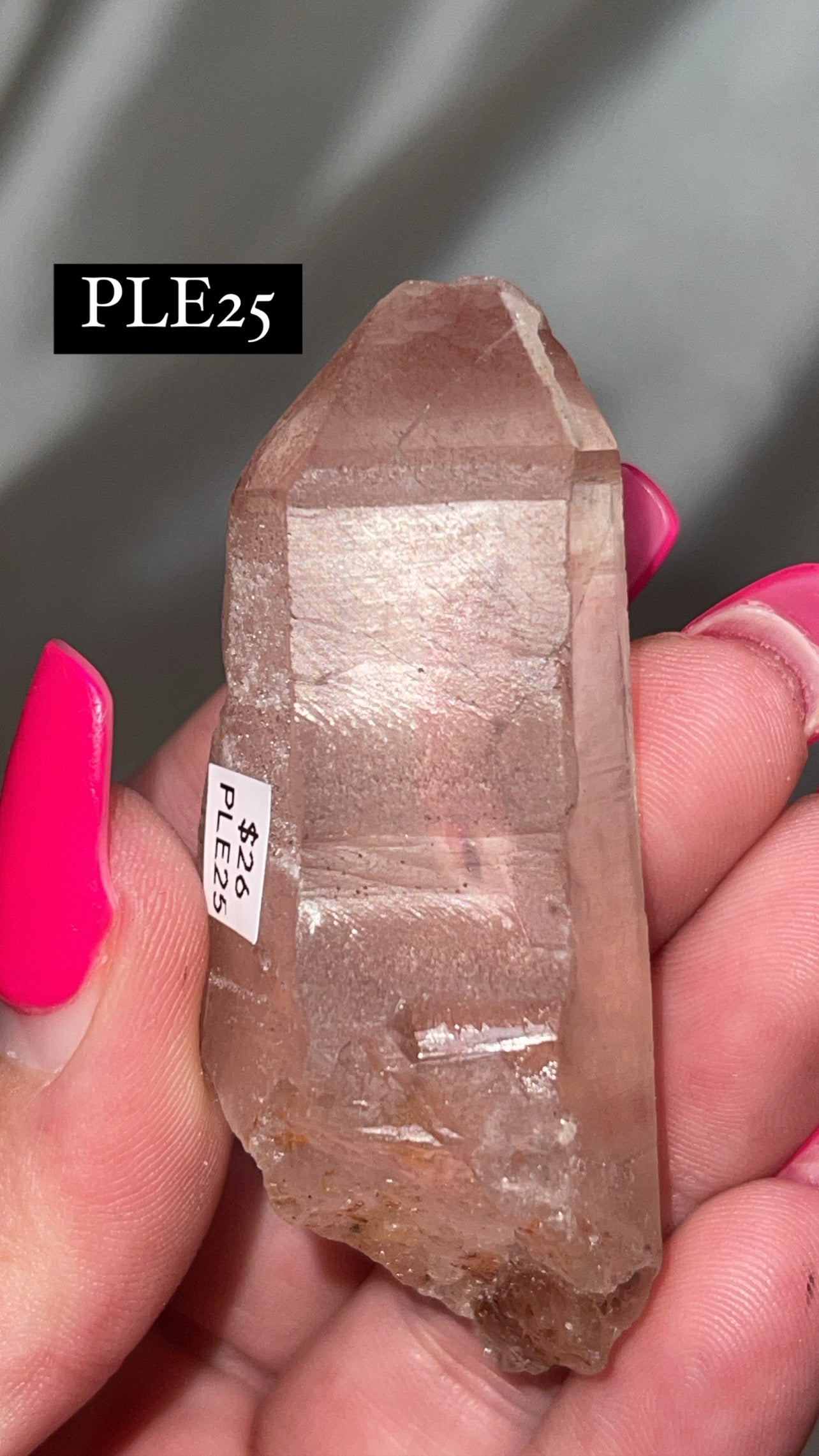 Scarlet Temple Lemurian (Choose Your Own)