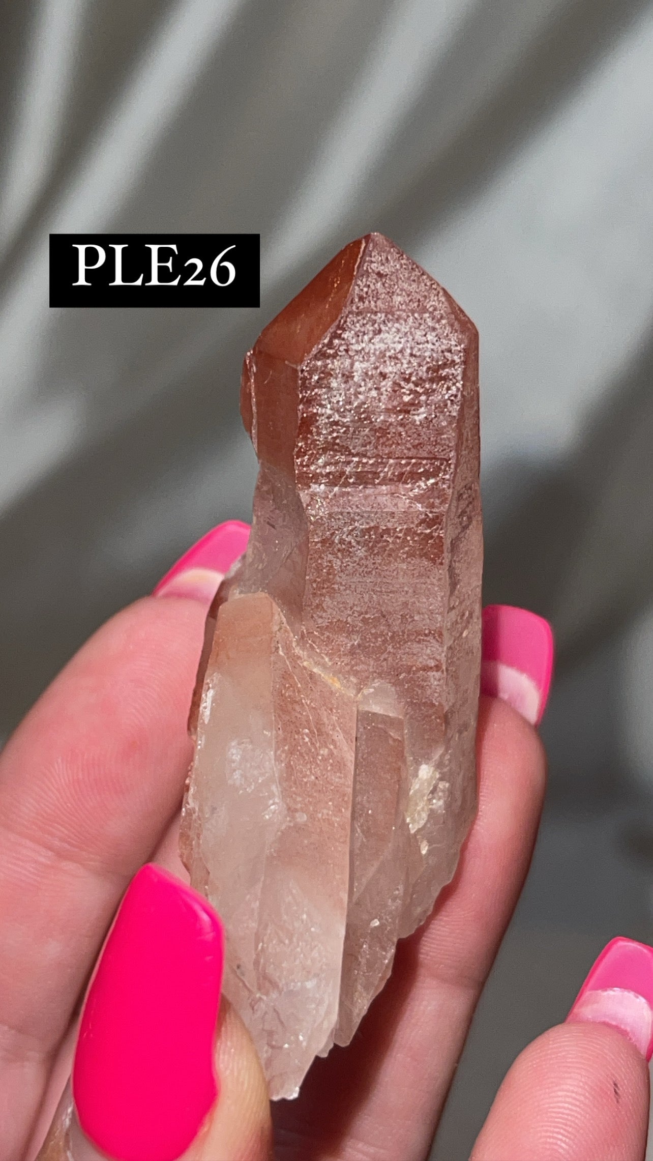 Scarlet Temple Lemurian (Choose Your Own)