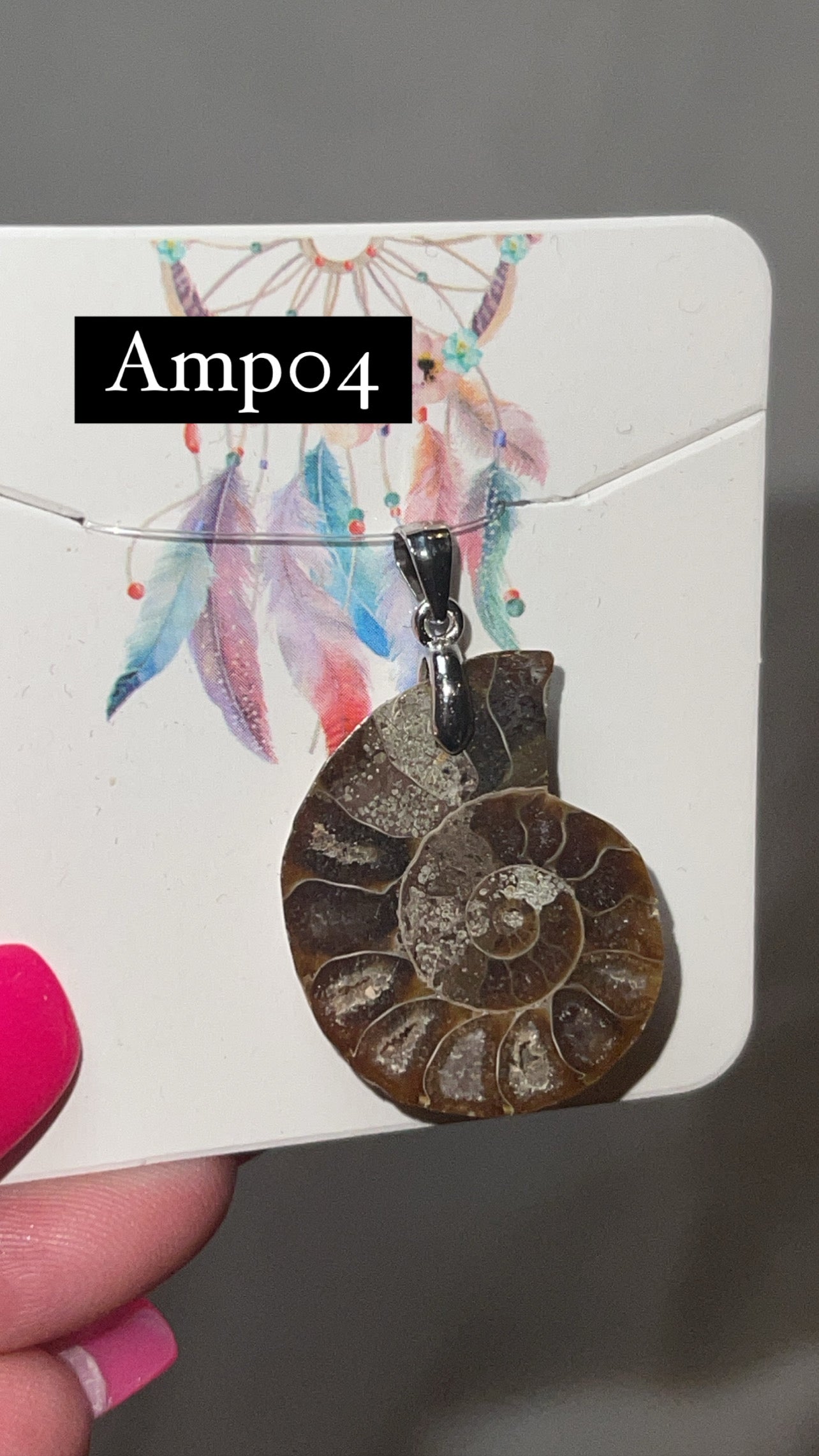 Ammonite Pendant (Choose Your Own)