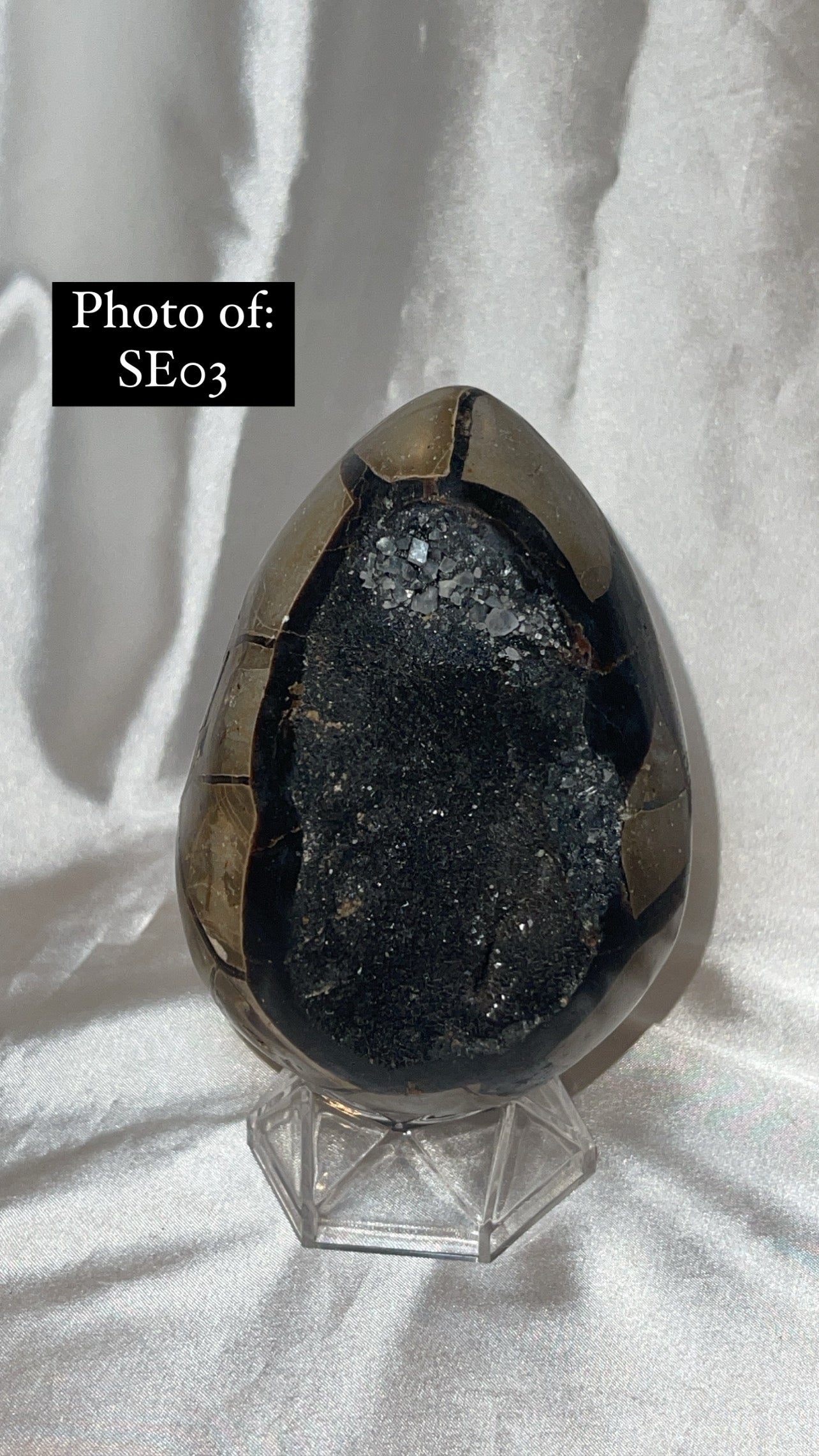 Septerian Large Dragon Egg