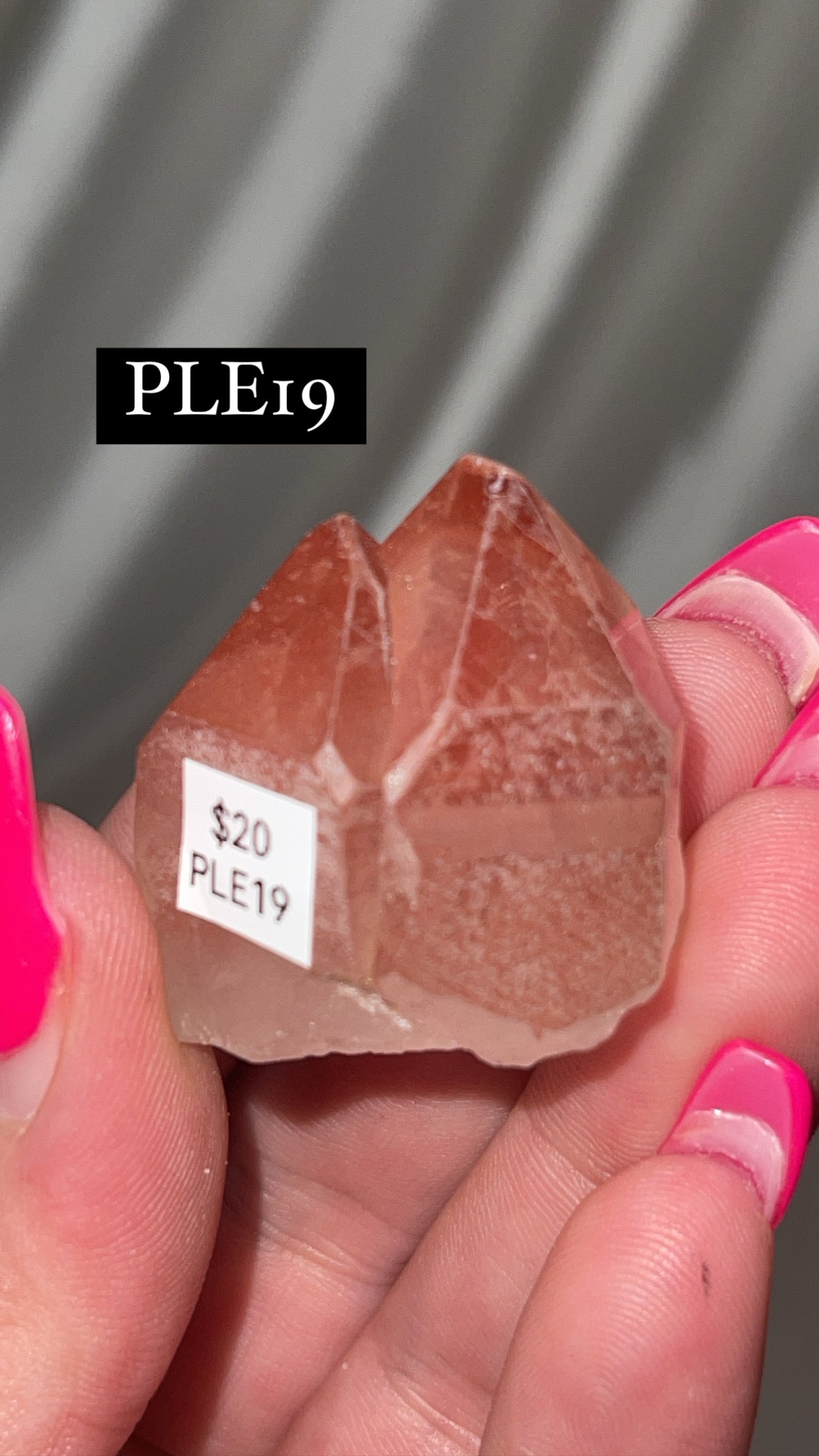 Scarlet Temple Lemurian (Choose Your Own)