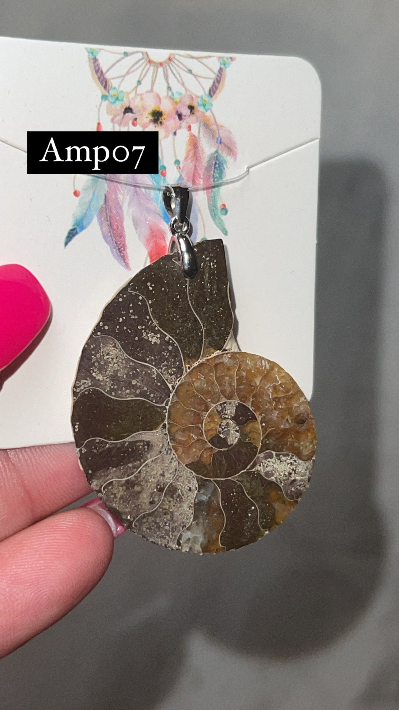Ammonite Pendant (Choose Your Own)