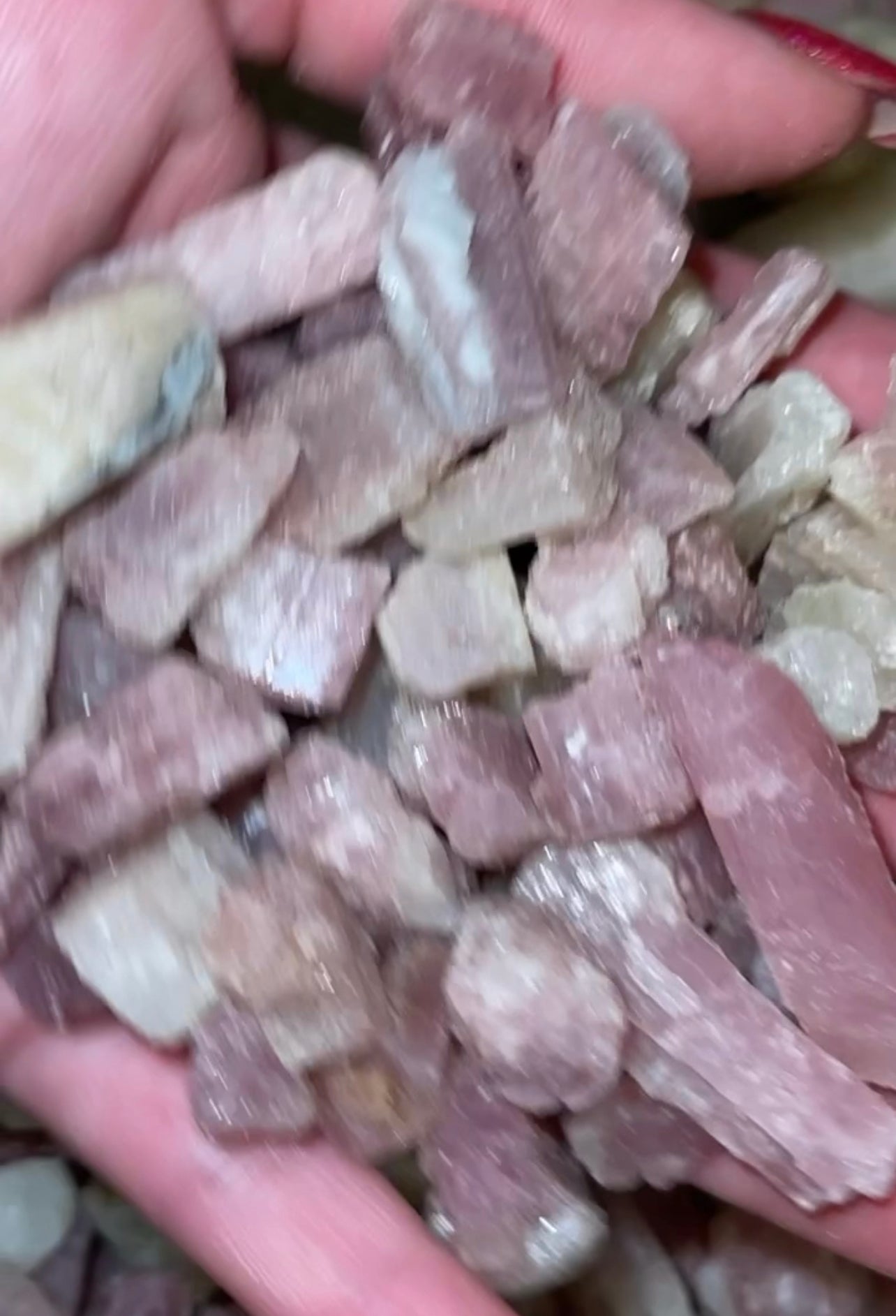 Watermelon Tourmaline Raw 50gram/100gram Bundle