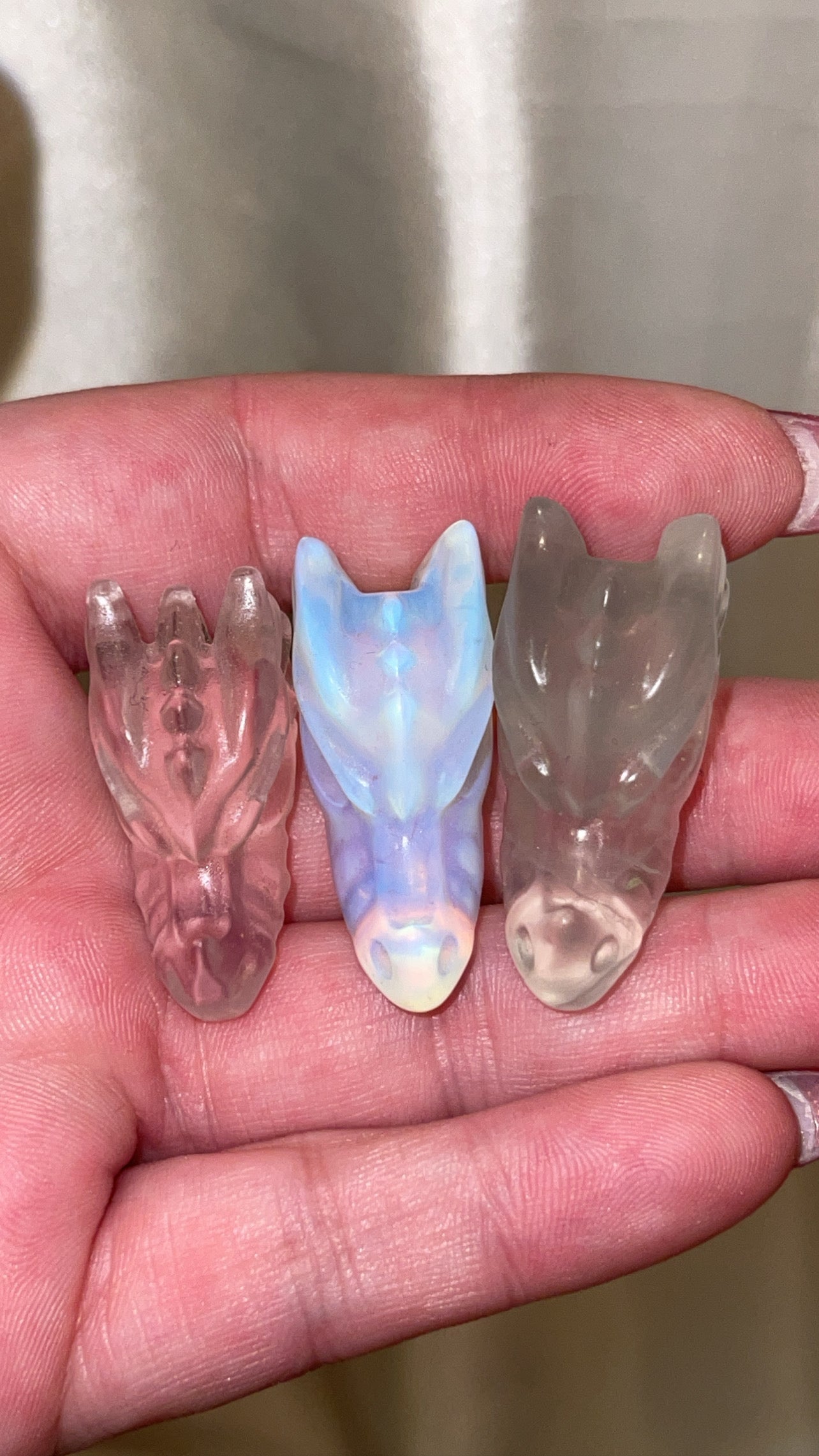 Variety Mini Dragon Head