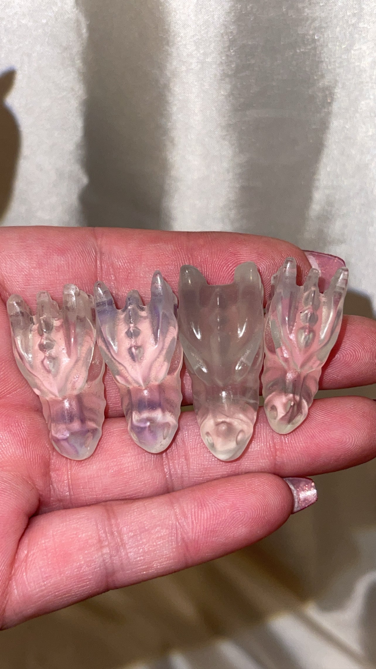 Variety Mini Dragon Head