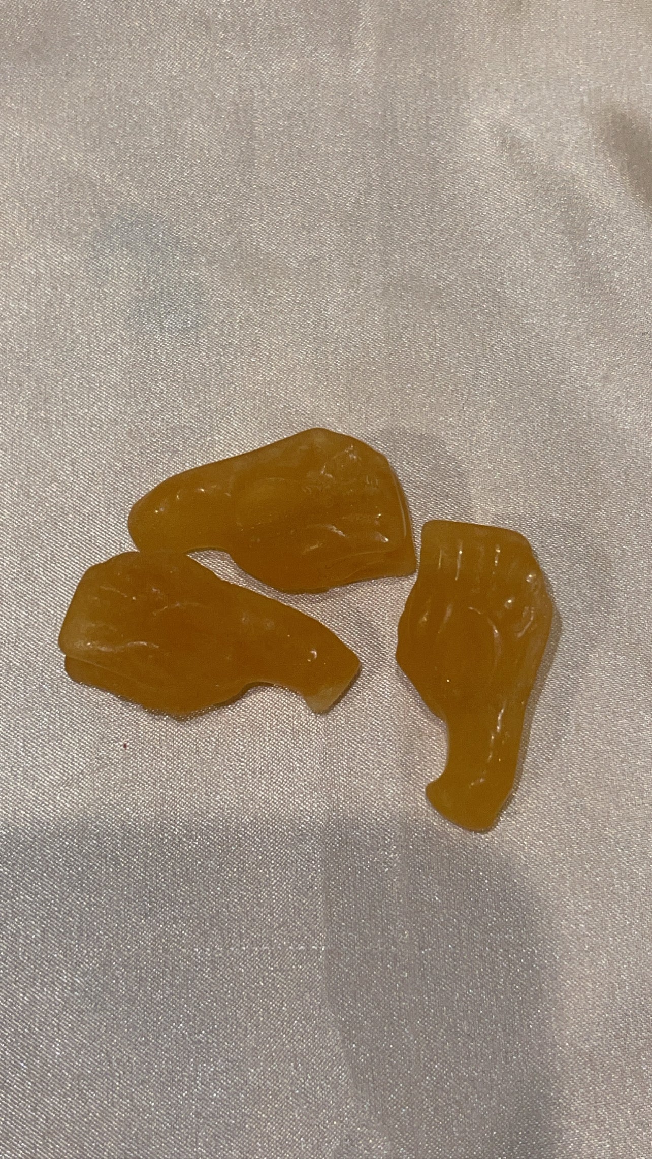 Variety Mini Dragon Head